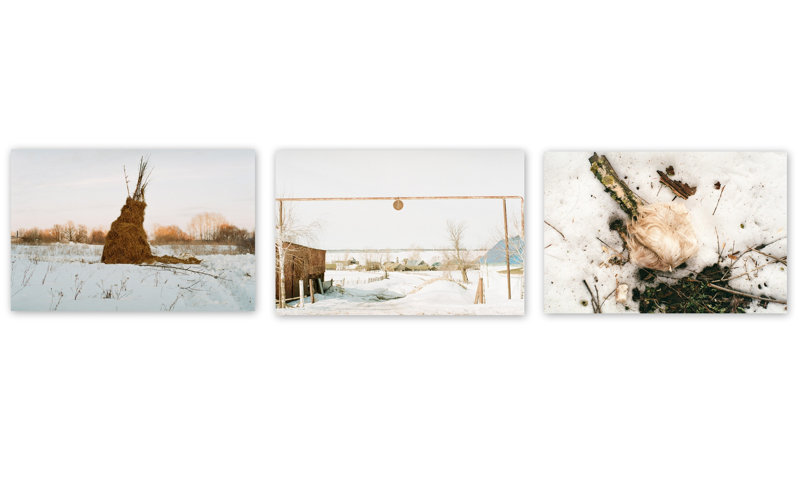 Дмитрий Ермаков Персональная высатавка