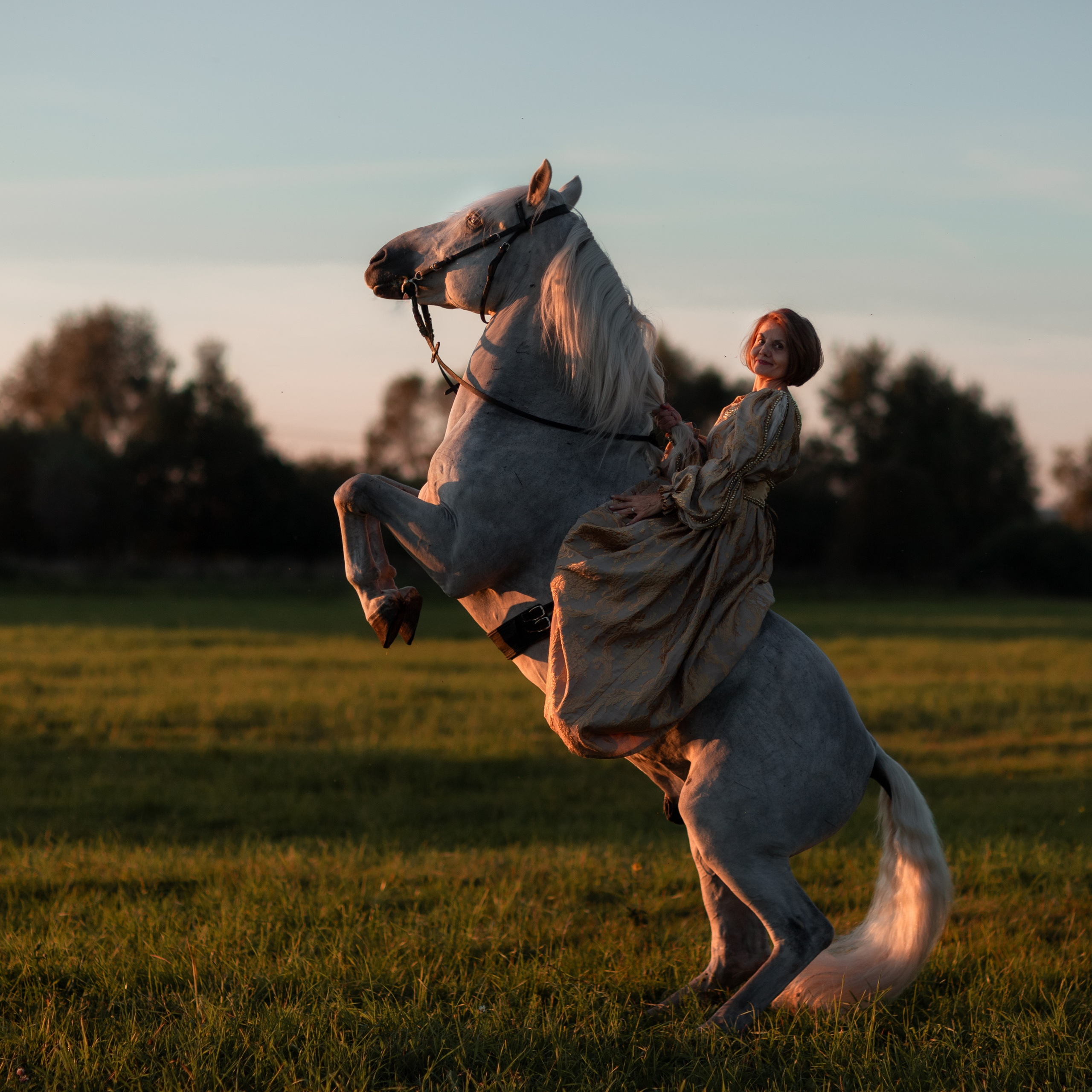 Подарочные сертификаты на фотосессию с лошадью от Светланы Кутейниковой. Фотосессии с лошадьми в Москве от Конный фотографа Кутейниковой Светланы