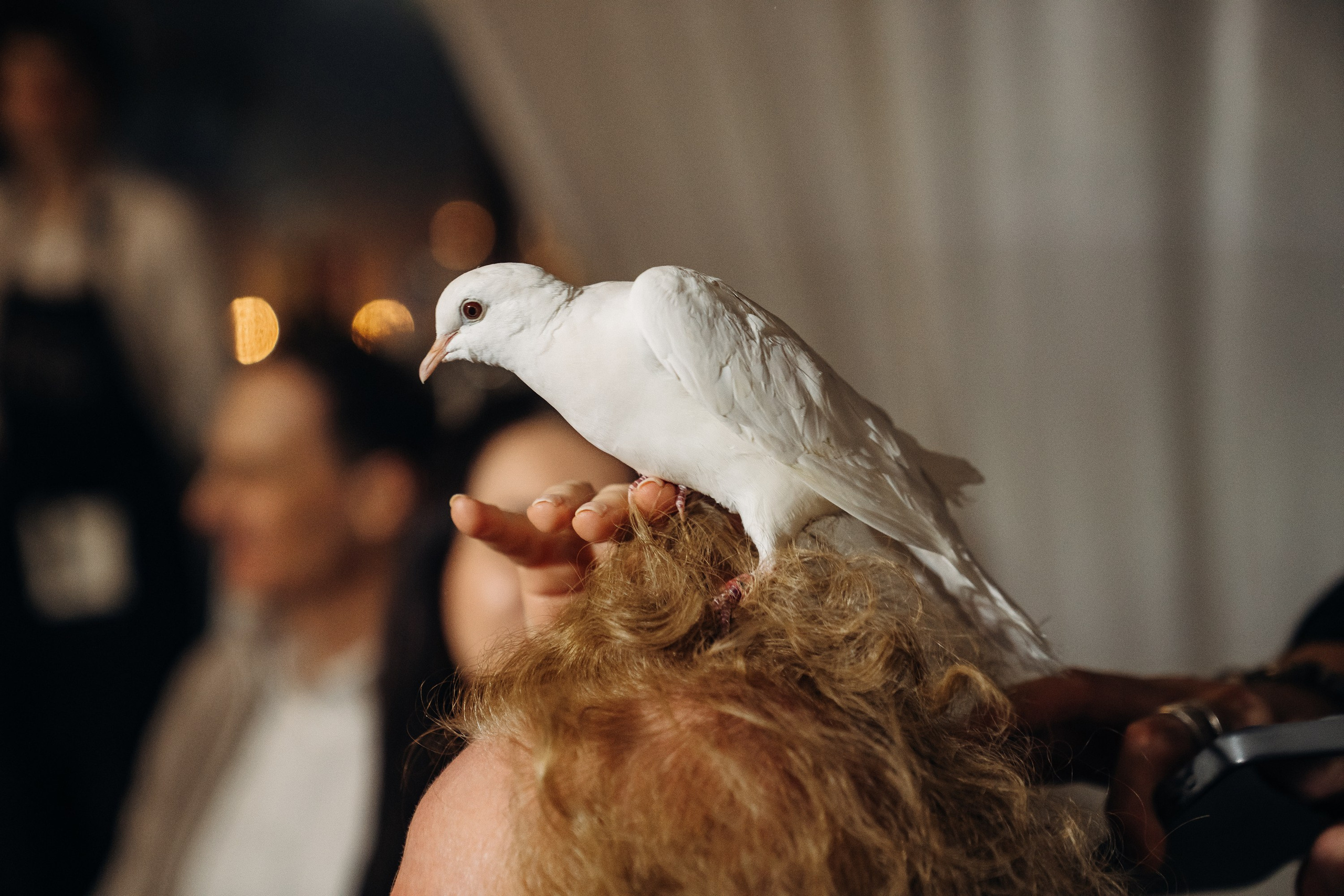 РУСОЙЛЭКС — Новый год: фоторепортаж | Сергей Косинов