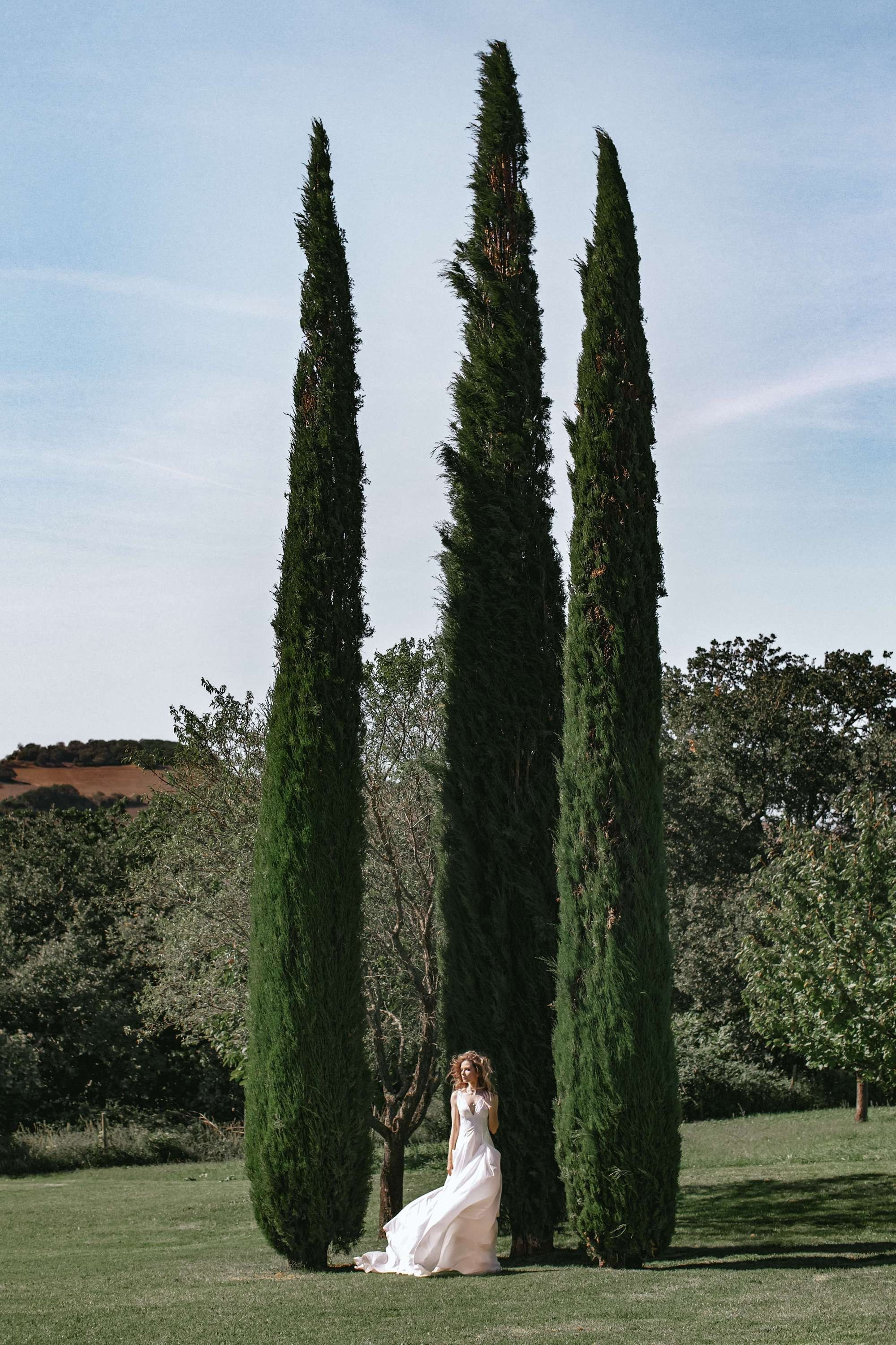 Свадебная съёмка. Свадебный фотограф в Москве Галина Набатникова
