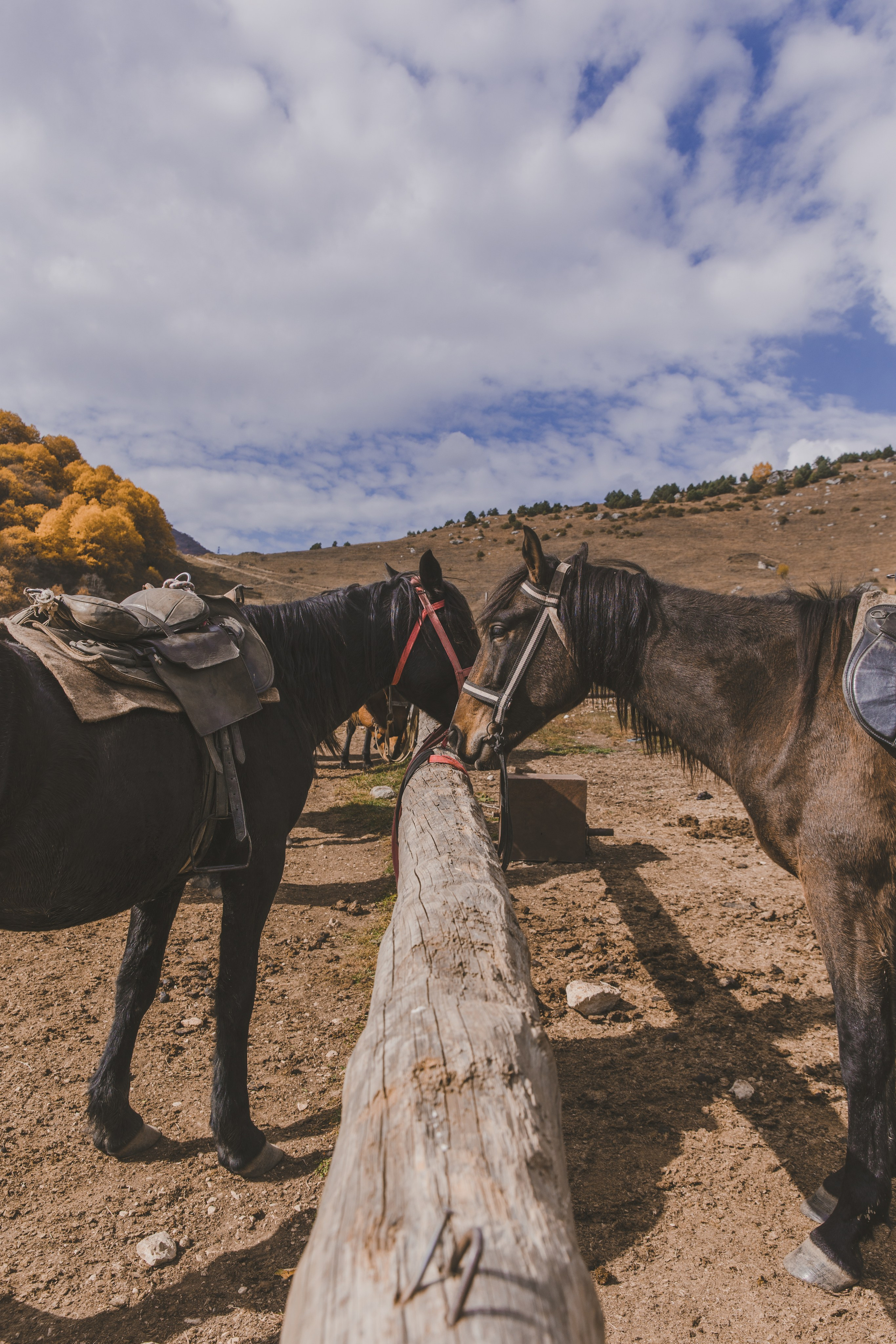 Осетия. Мастерская для создания имиджа от BenSami в Санкт-Петербурге и Москве