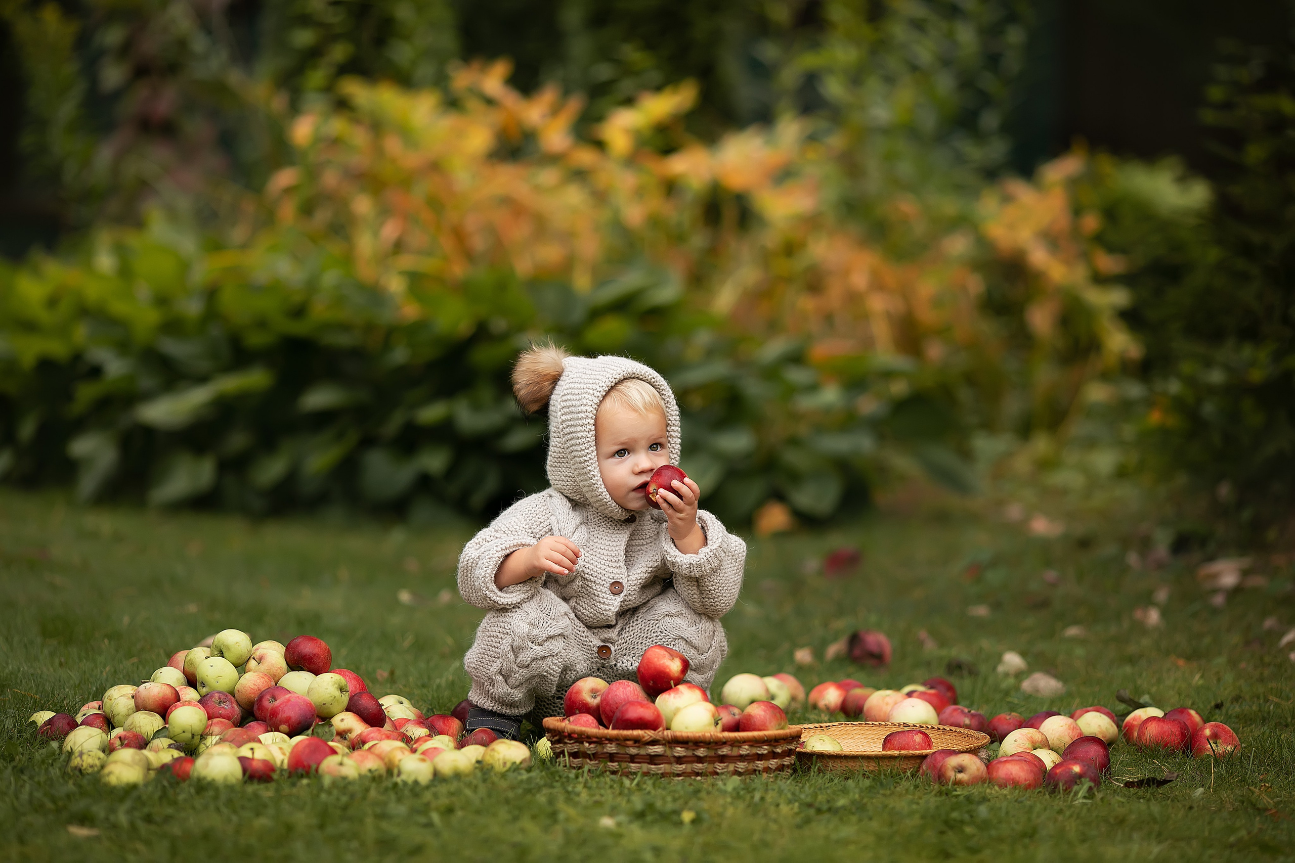 Сказочная осень. Главная