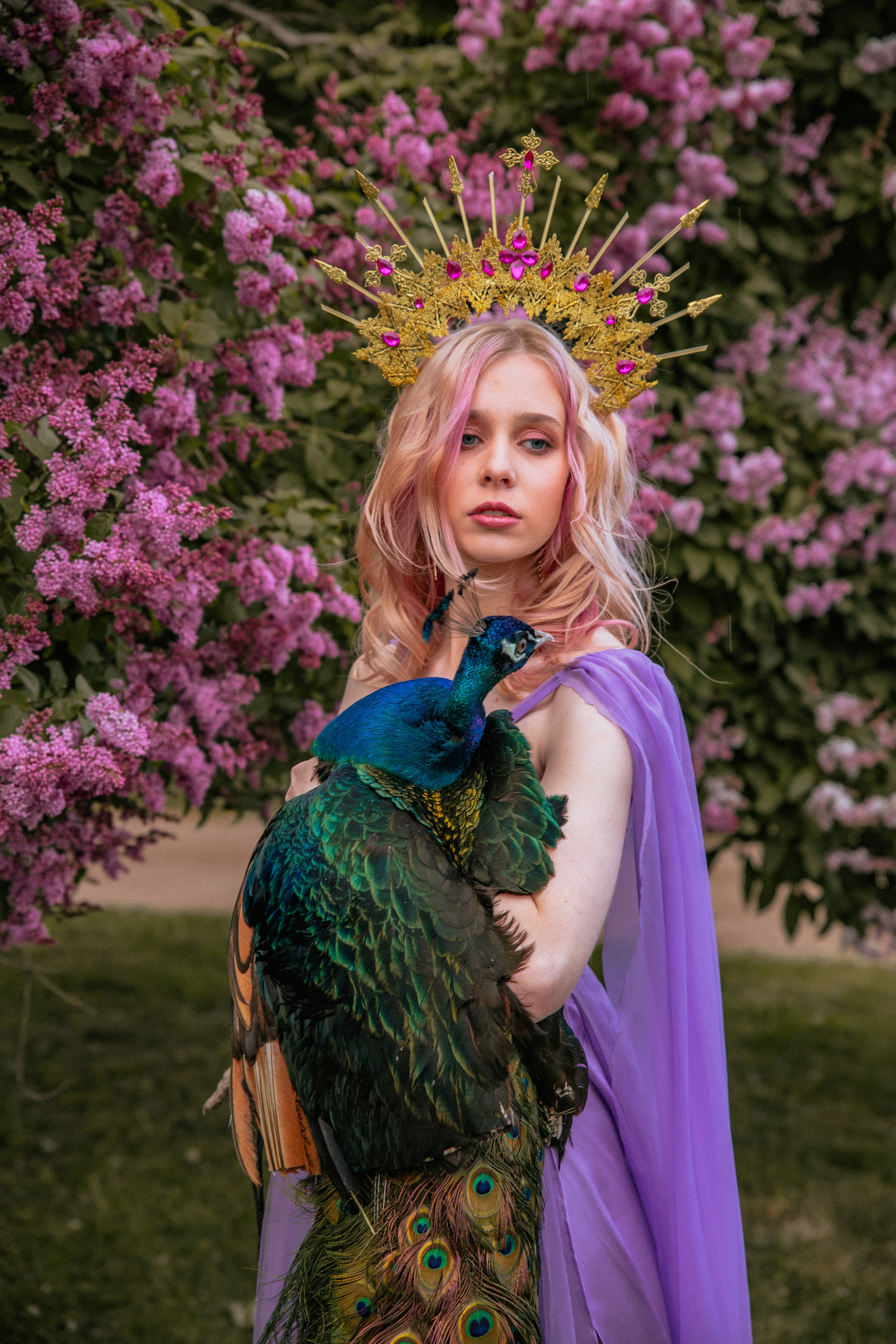 Павлин. Elena Sova — семейный и женский фотограф в Санкт-Петербурге