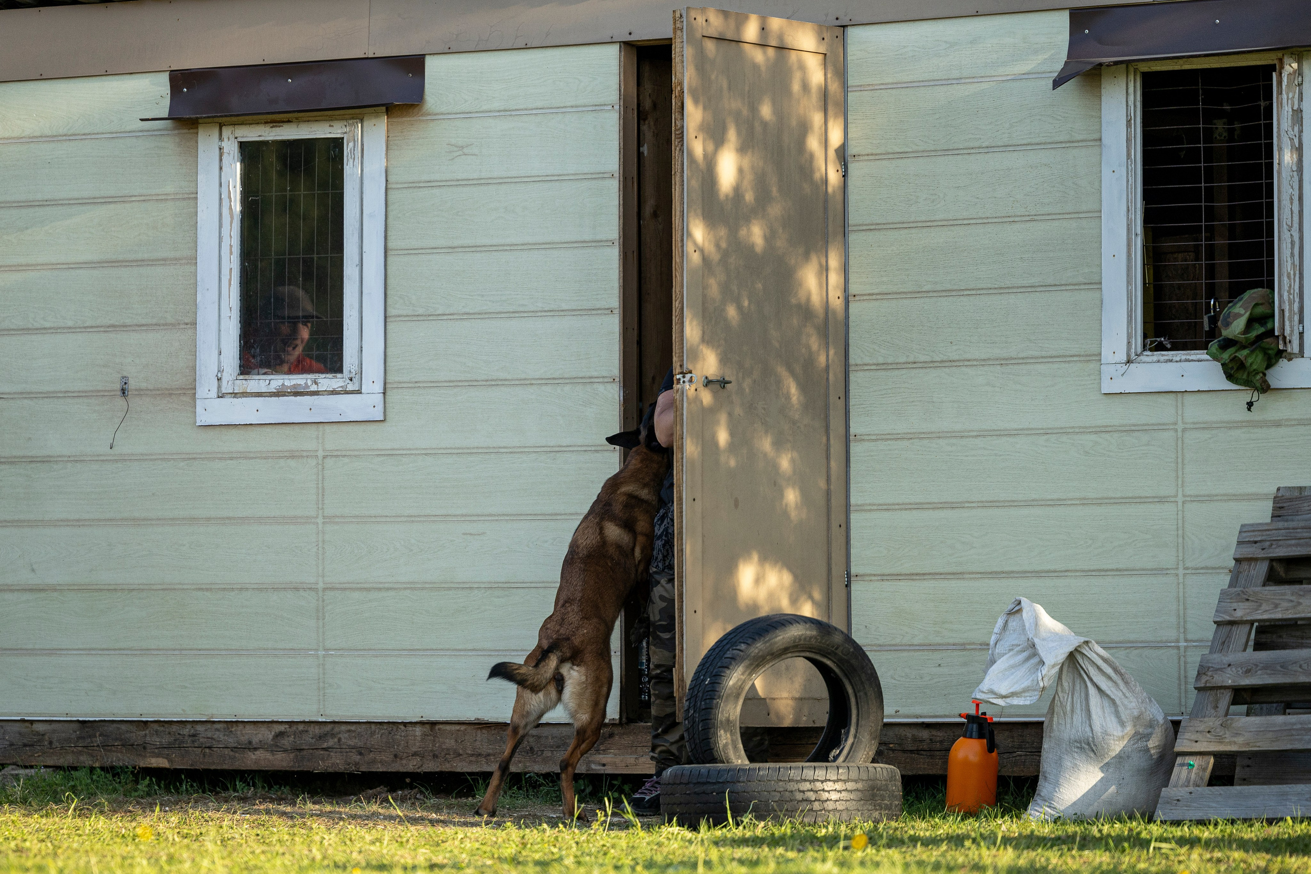 Испытания по мондьорингу в Нижнем Новгороде. Фотограф-анималист Анна Маринич