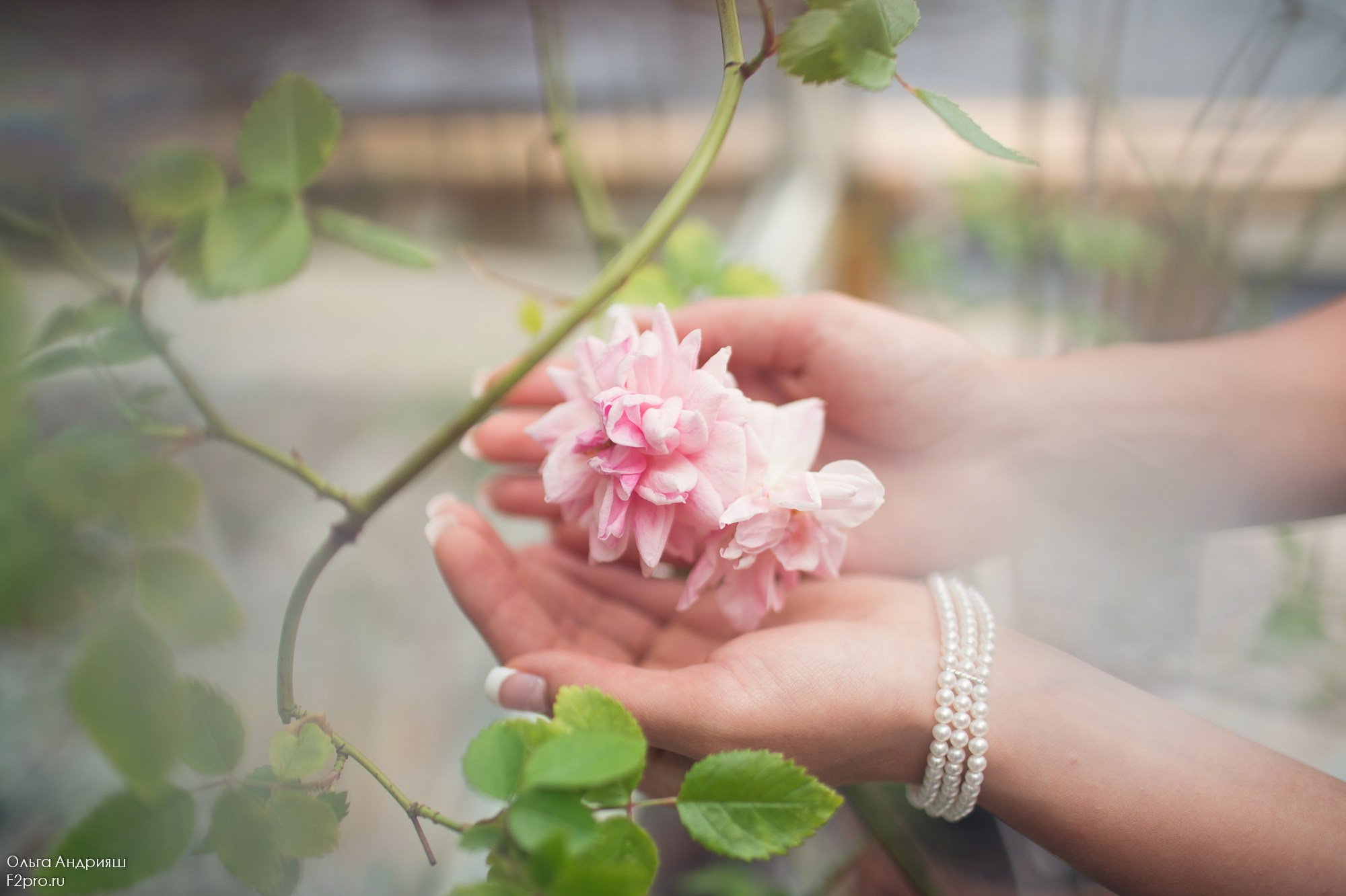Нежность. Семейный, портретный и свадебный фотограф в Санкт-Петербурге и Москве