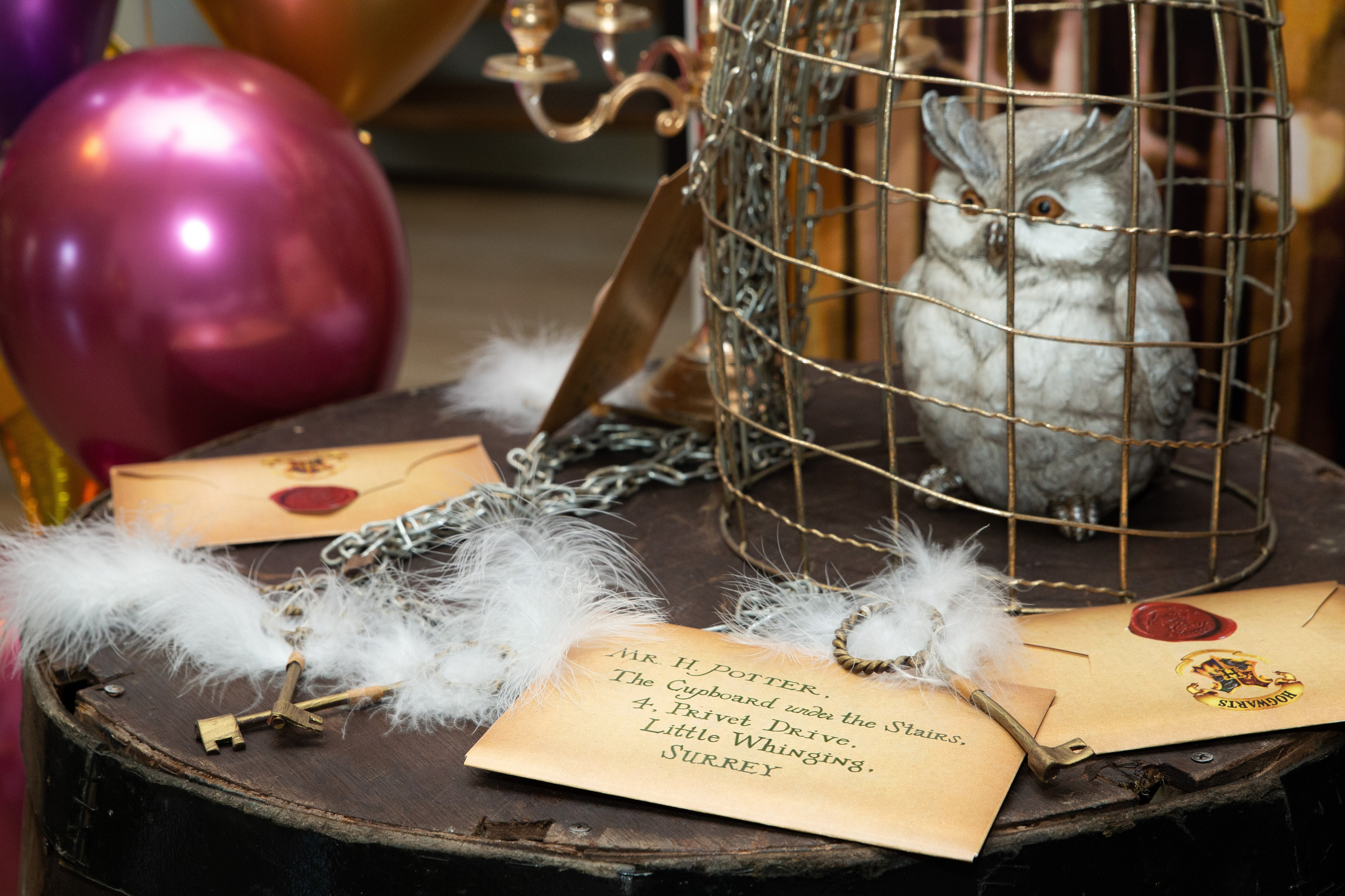 Детские праздники. Рекламный коммерческий фотограф в Москве Владимир Лукьянов