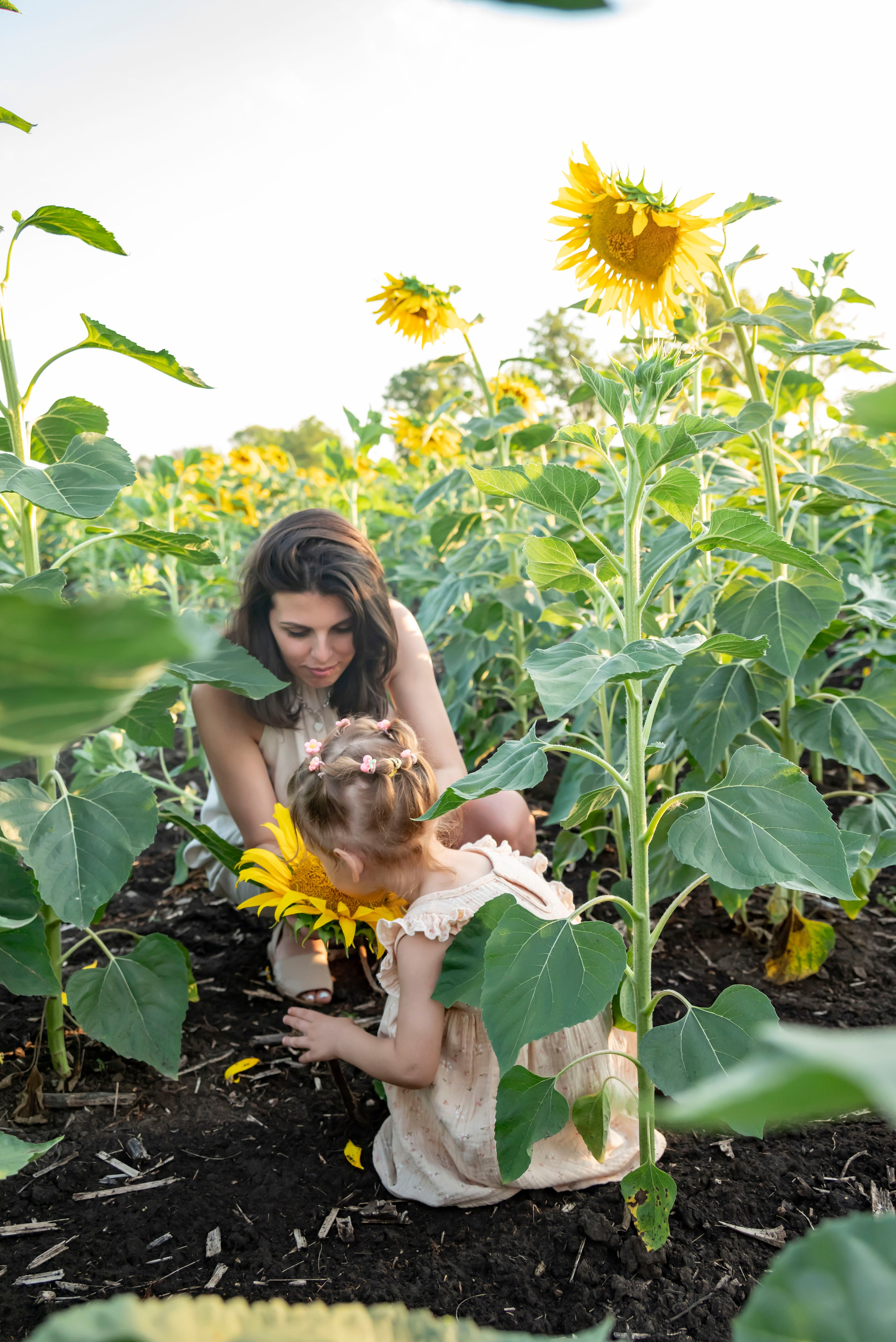 Летняя прогулка. Главная