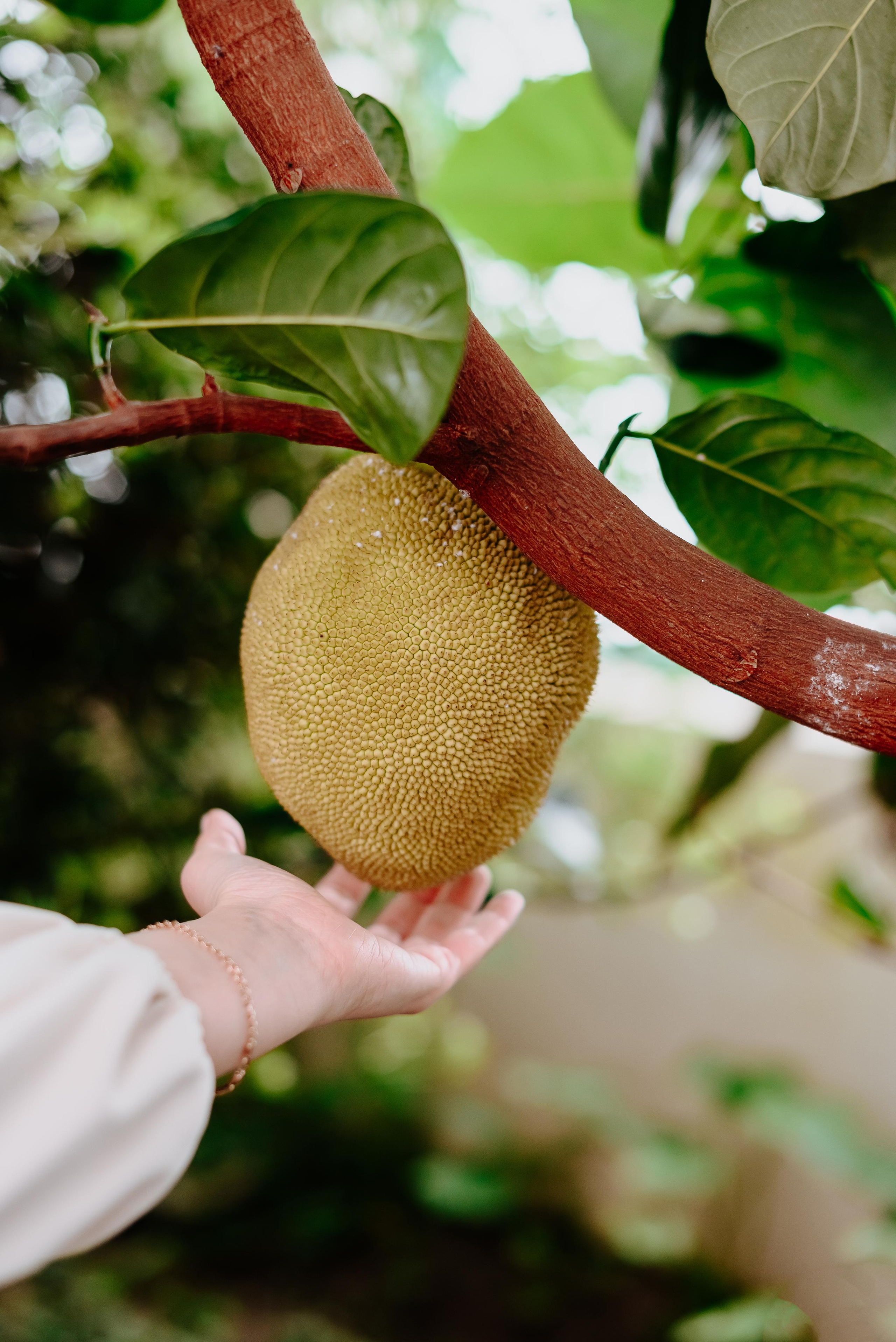 Свадебная фотосъёмка в ботаническом саду Кемерово