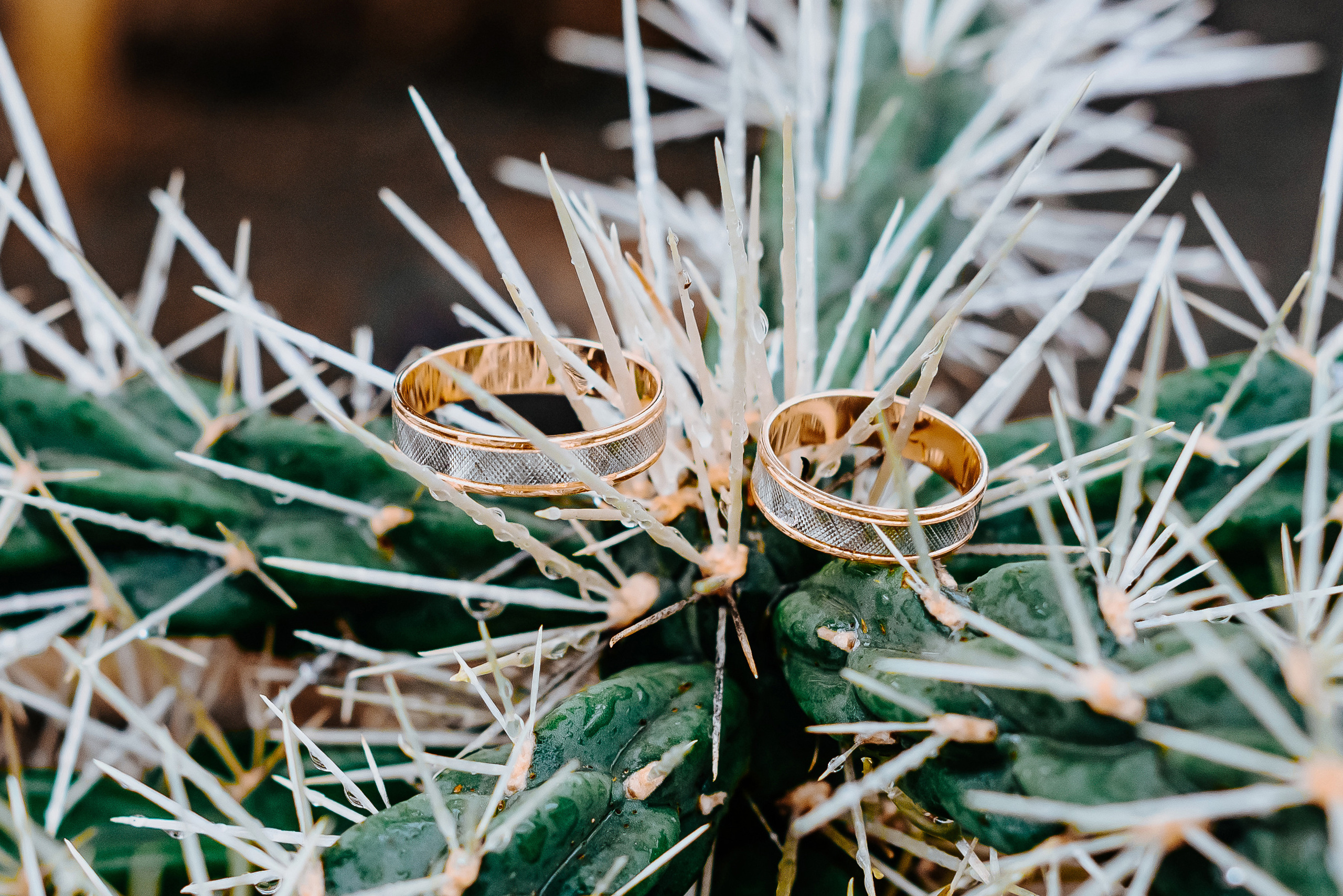 Карина и Максим