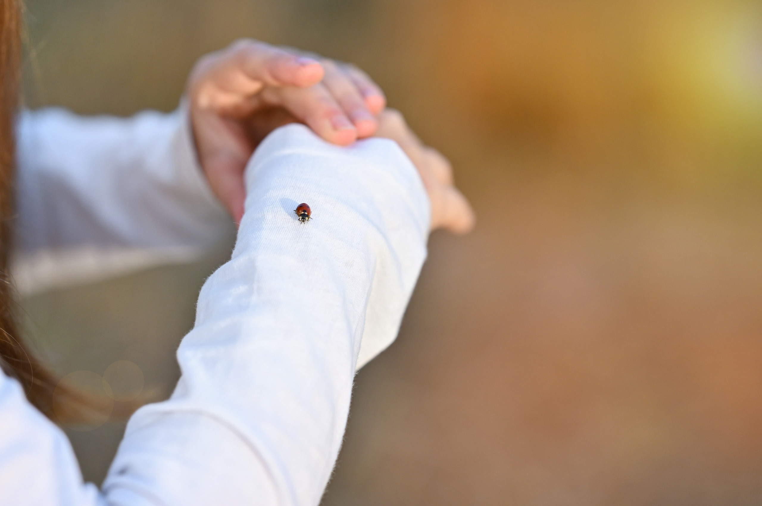 Последние дни лета. Семейный фотограф в г. Воскресенск Наталия Молева