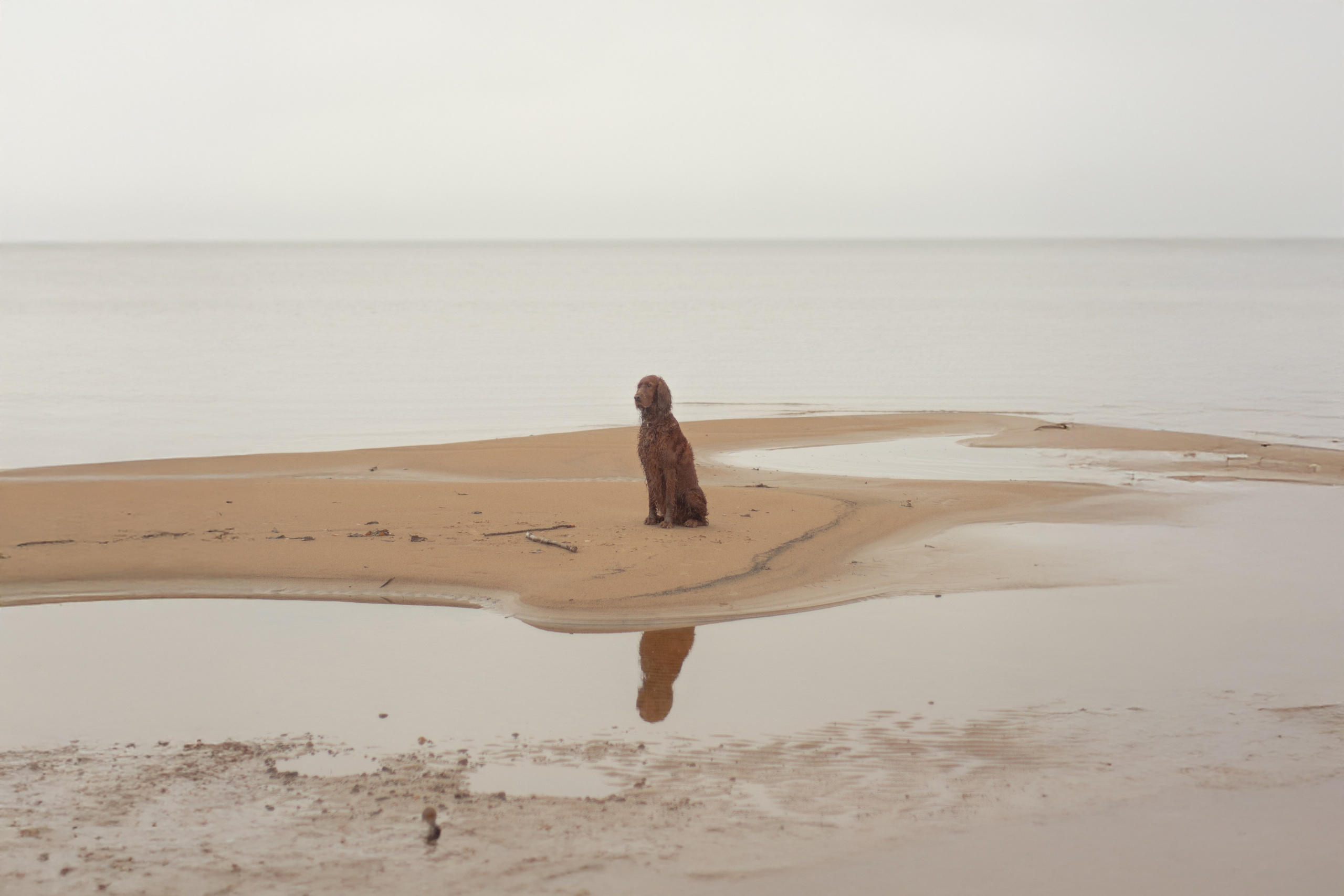 Noffocus — фотограф в Санкт-Петербурге | Контент и арт-съёмка