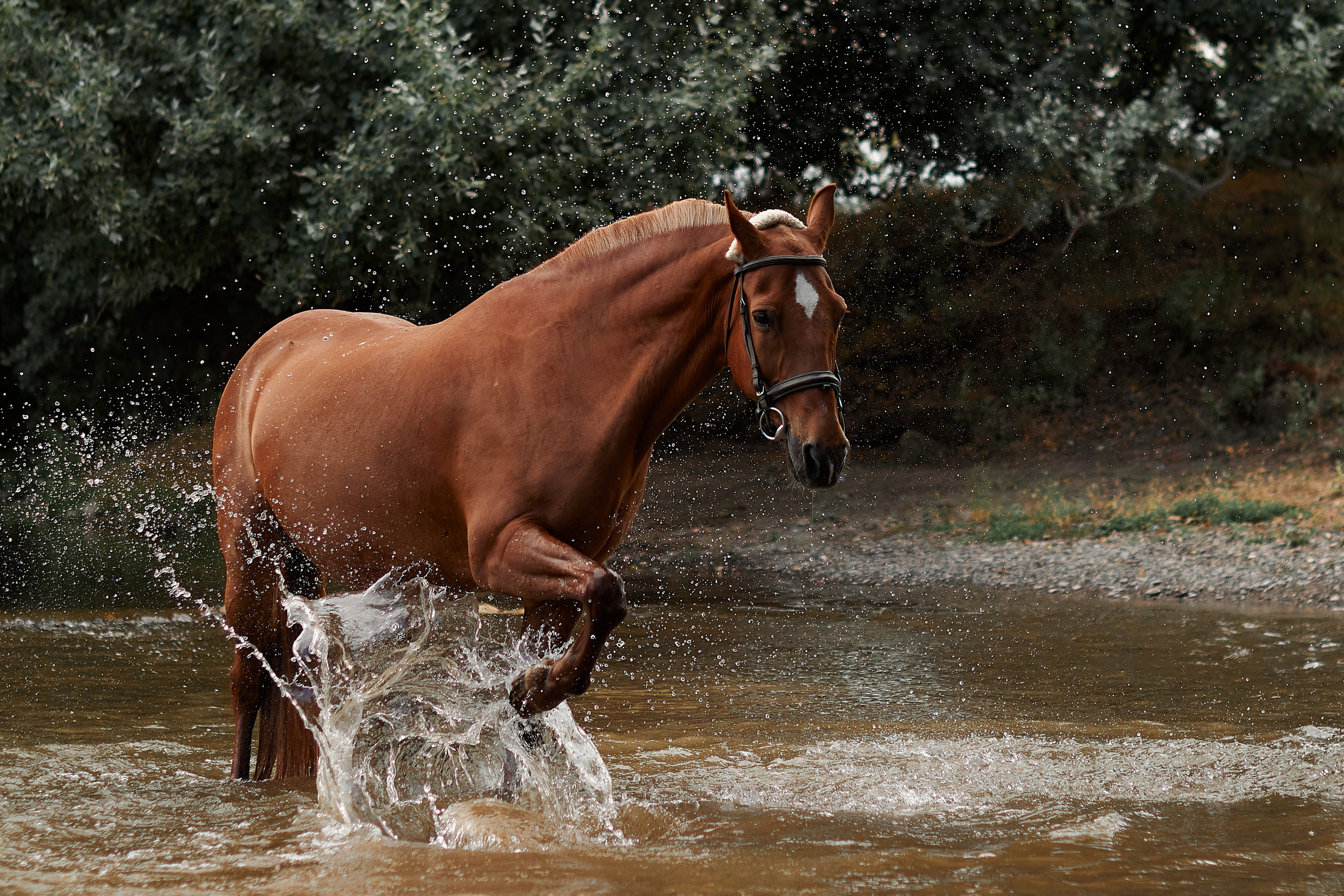 Касандра. Фотограф в Севастополе