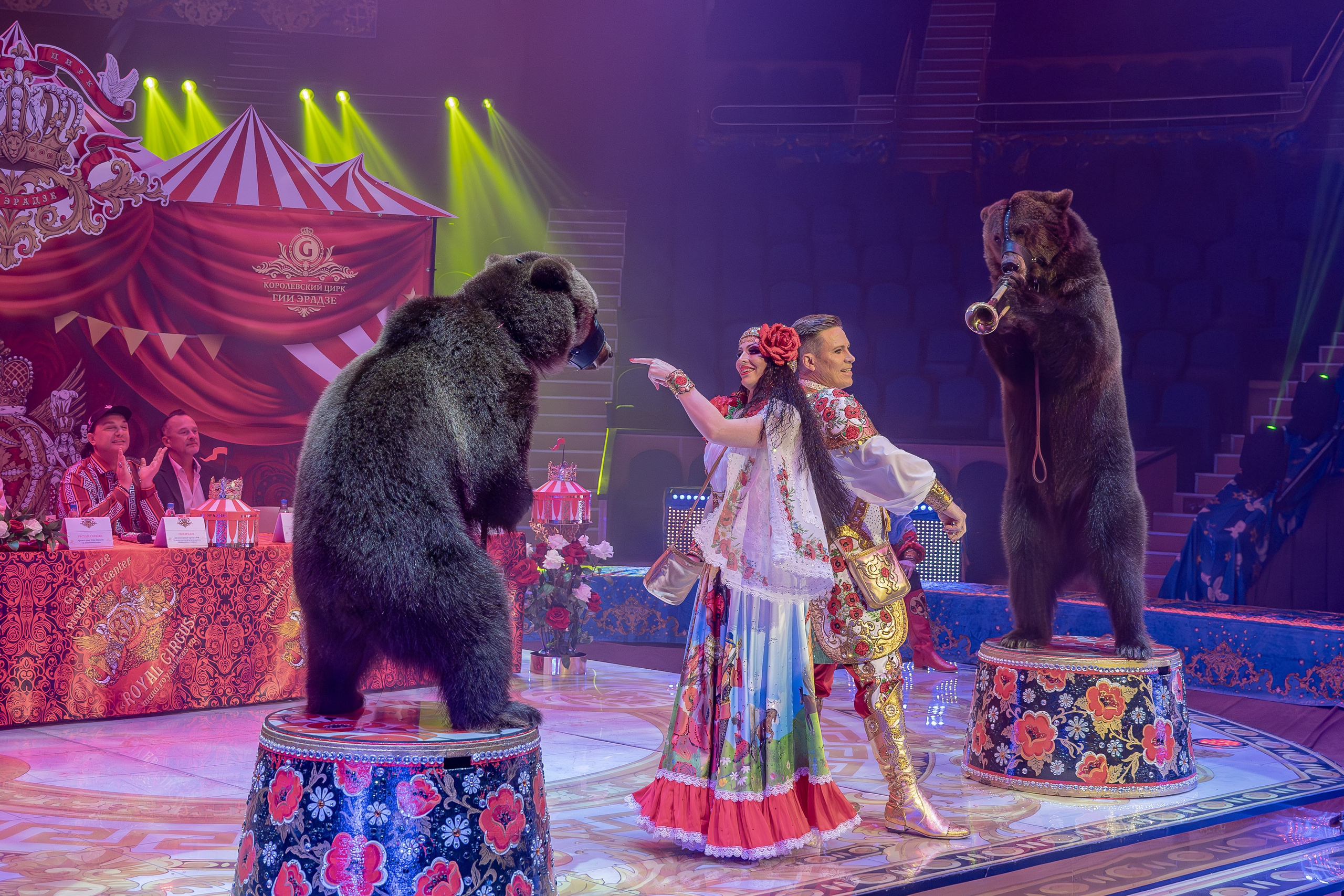 Цирк Гии Эрадзе. Наталья Слесаренко фотограф в Сочи