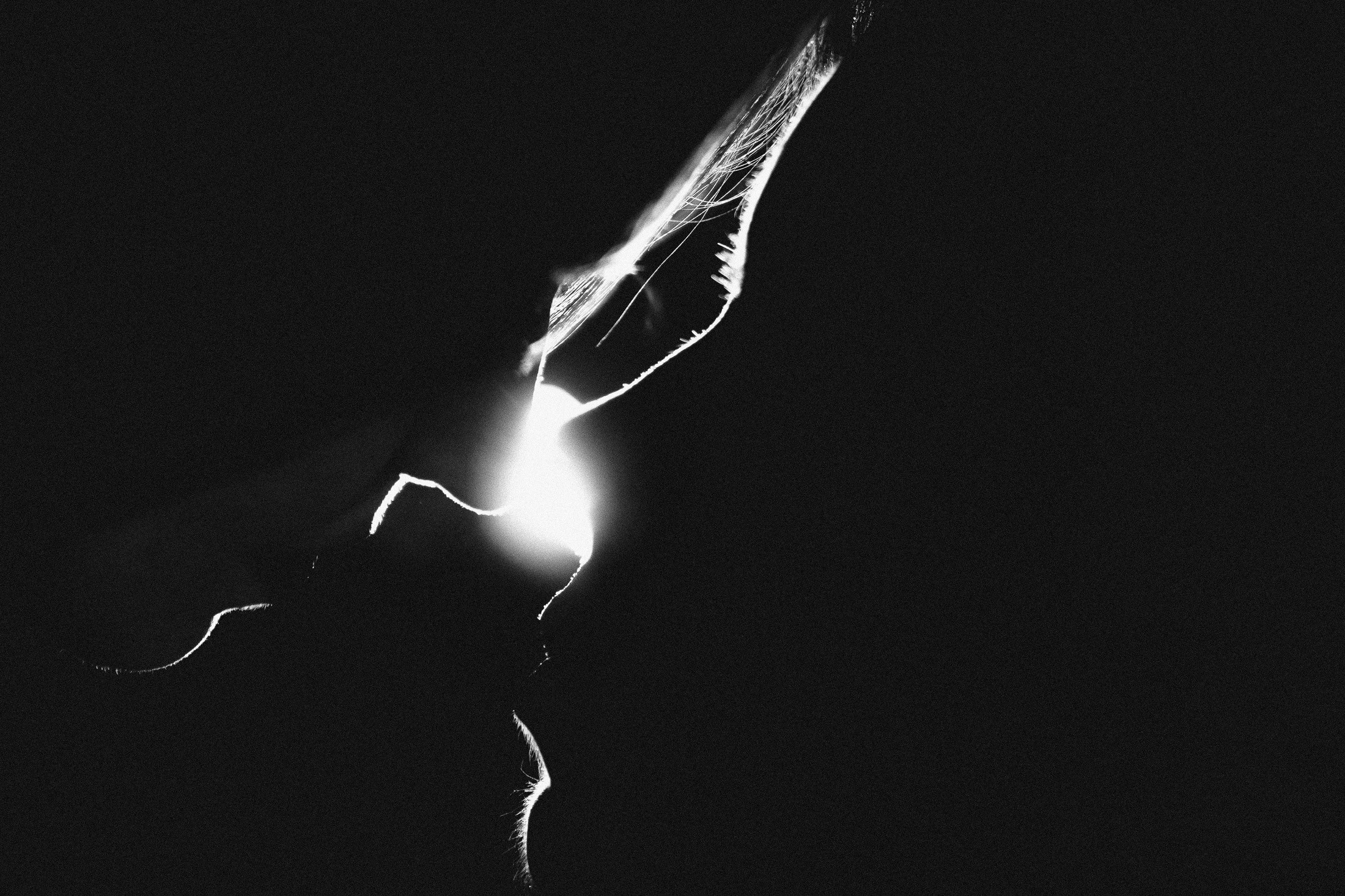 Фотограф Дмитрий Рябов | Нижний Новгород