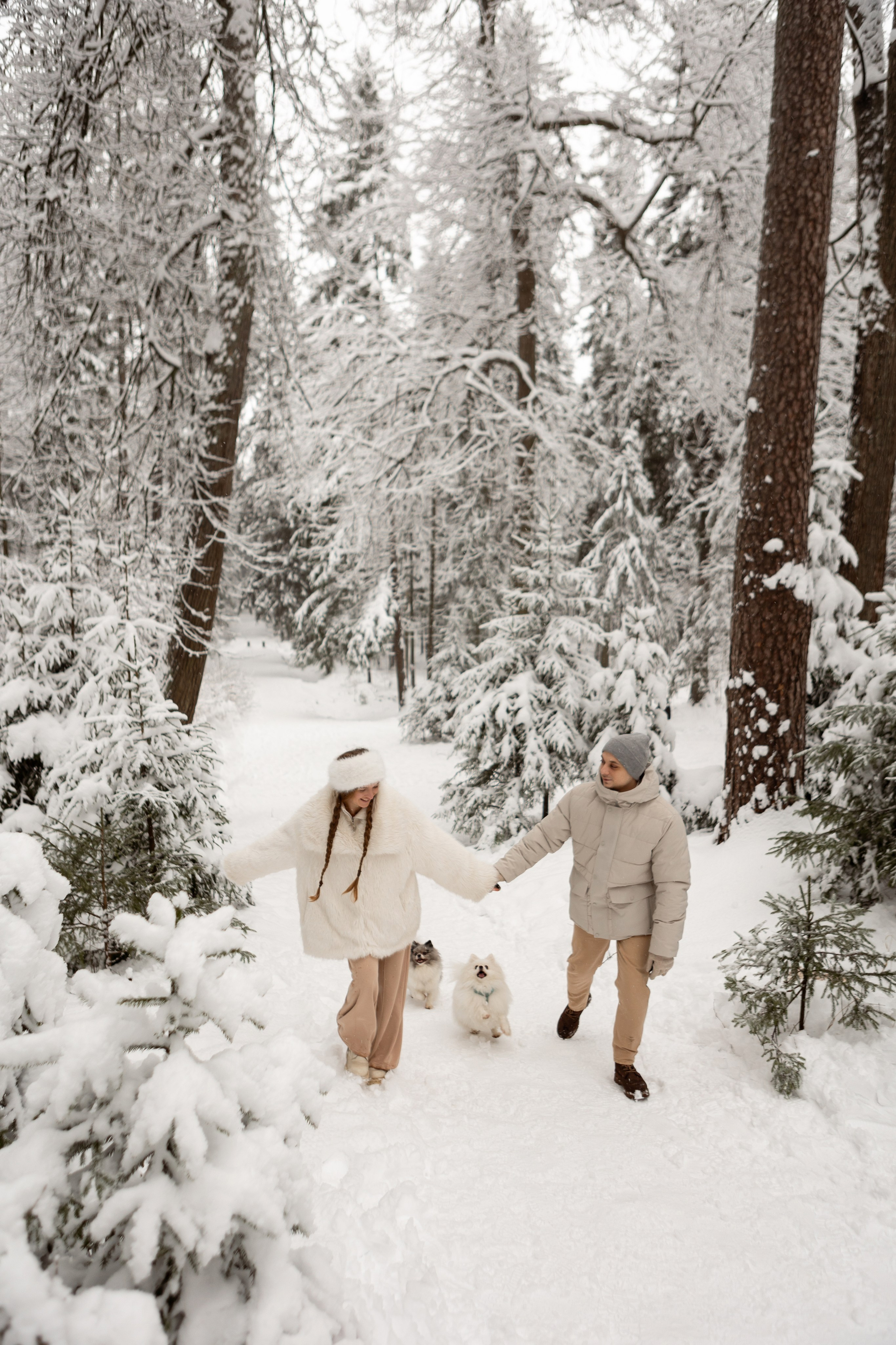 Новогодняя фотосессия с собачками в шуваловском парке. Свадебный фотограф в СПБ | Санкт-Петербурге Анастасия Рахимгулова