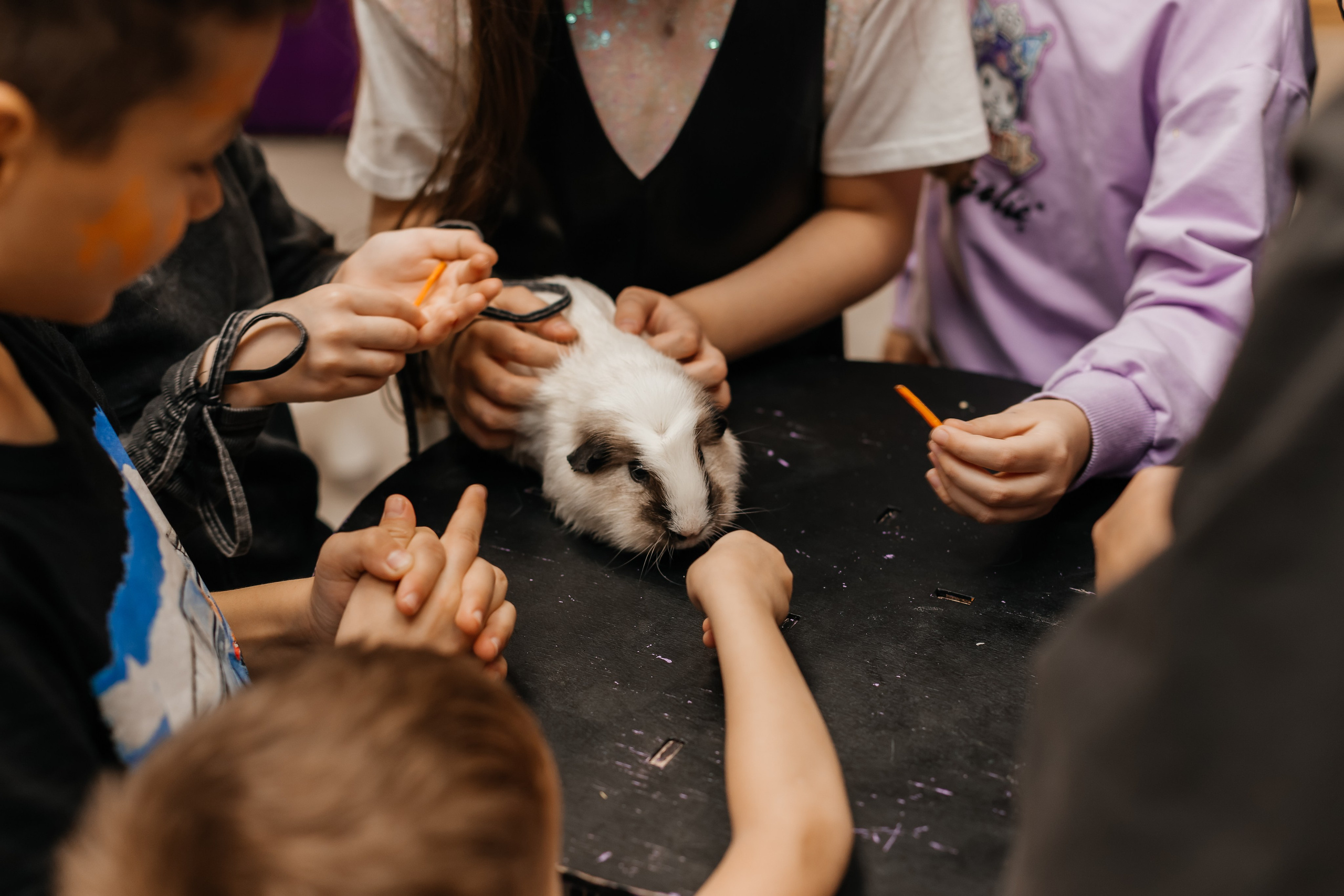 День рождение Амалии. Марина Шаймухаметова. Фотограф в Уфе