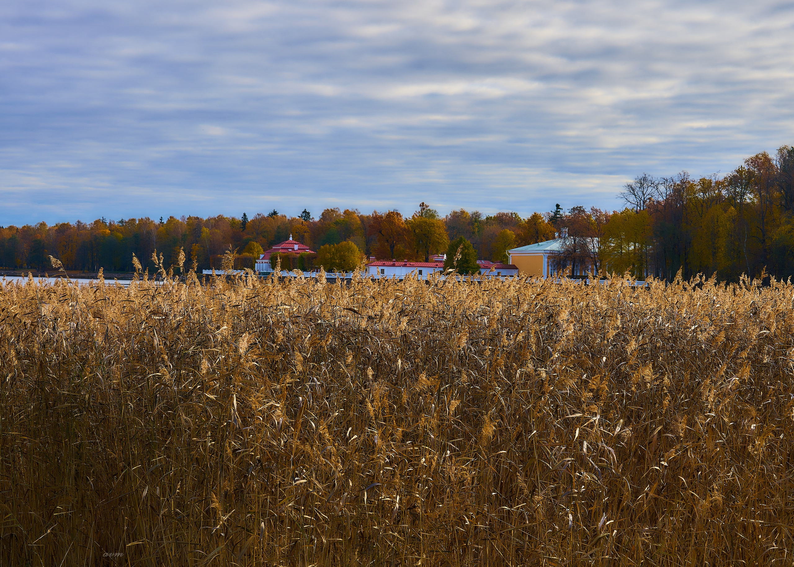 Петергоф. Фотограф Михеев Андрей