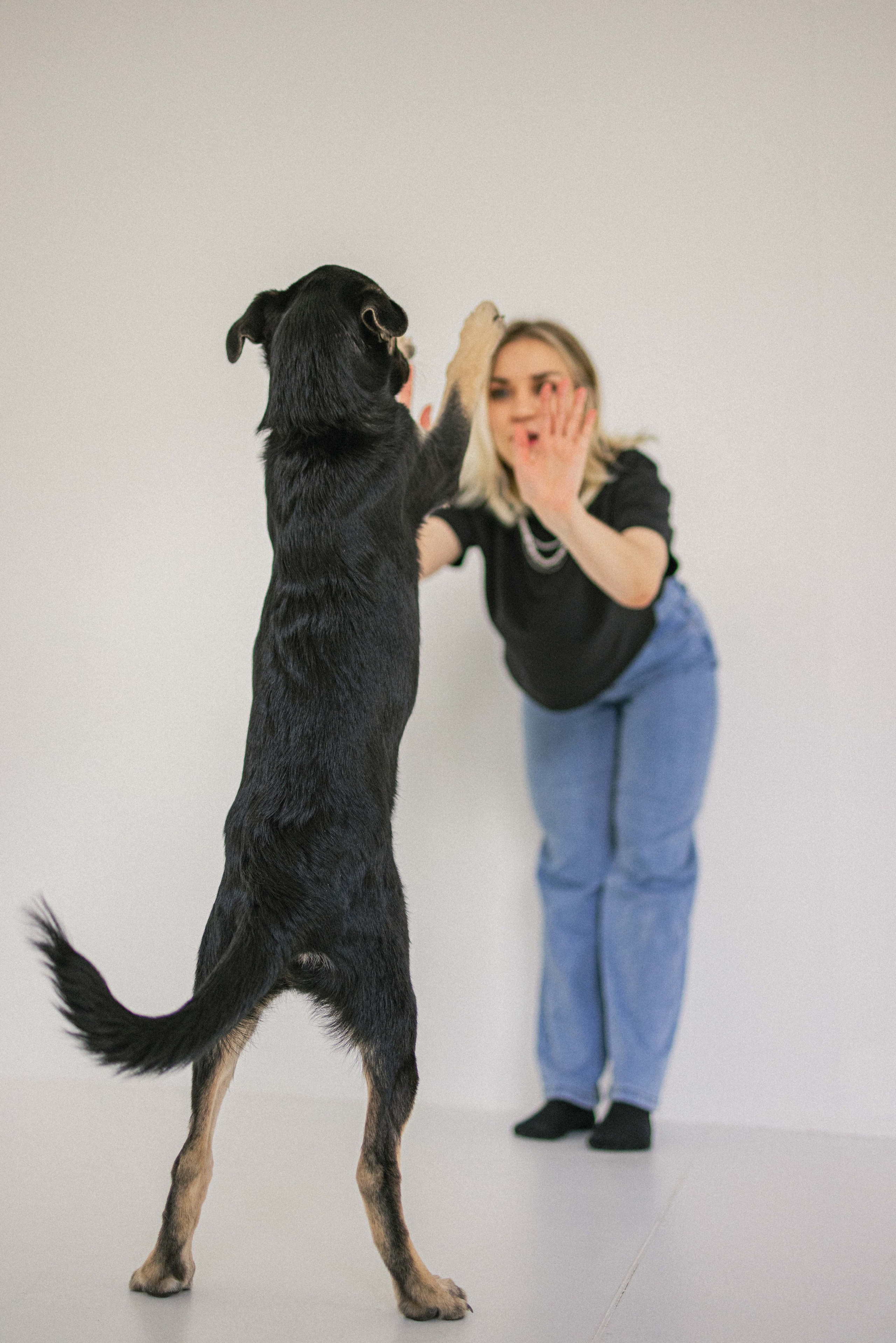 Крис и Тэдди. Фотограф-анималист в Москве Лера Черноног