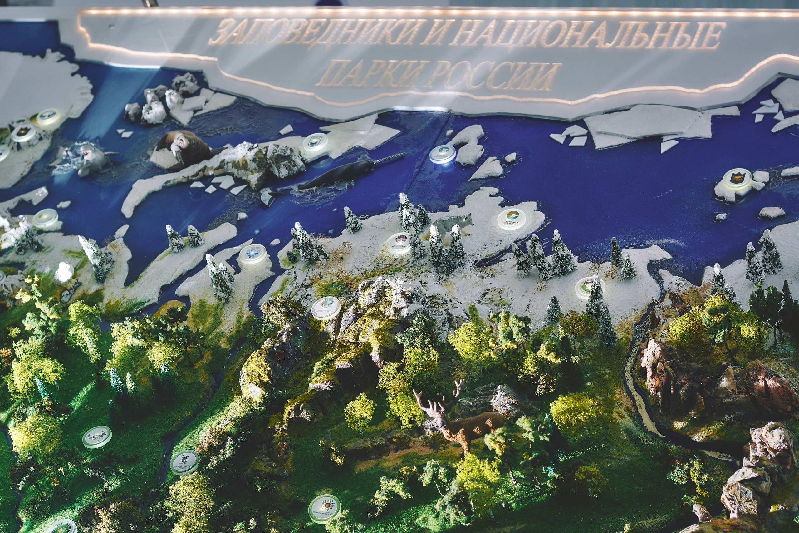 Интерьерная съемка Визит-центр Национальный парк «Кисловодский». Константин Кордонский | Интерьерный и food-фотограф в Кисловодске и КМВ