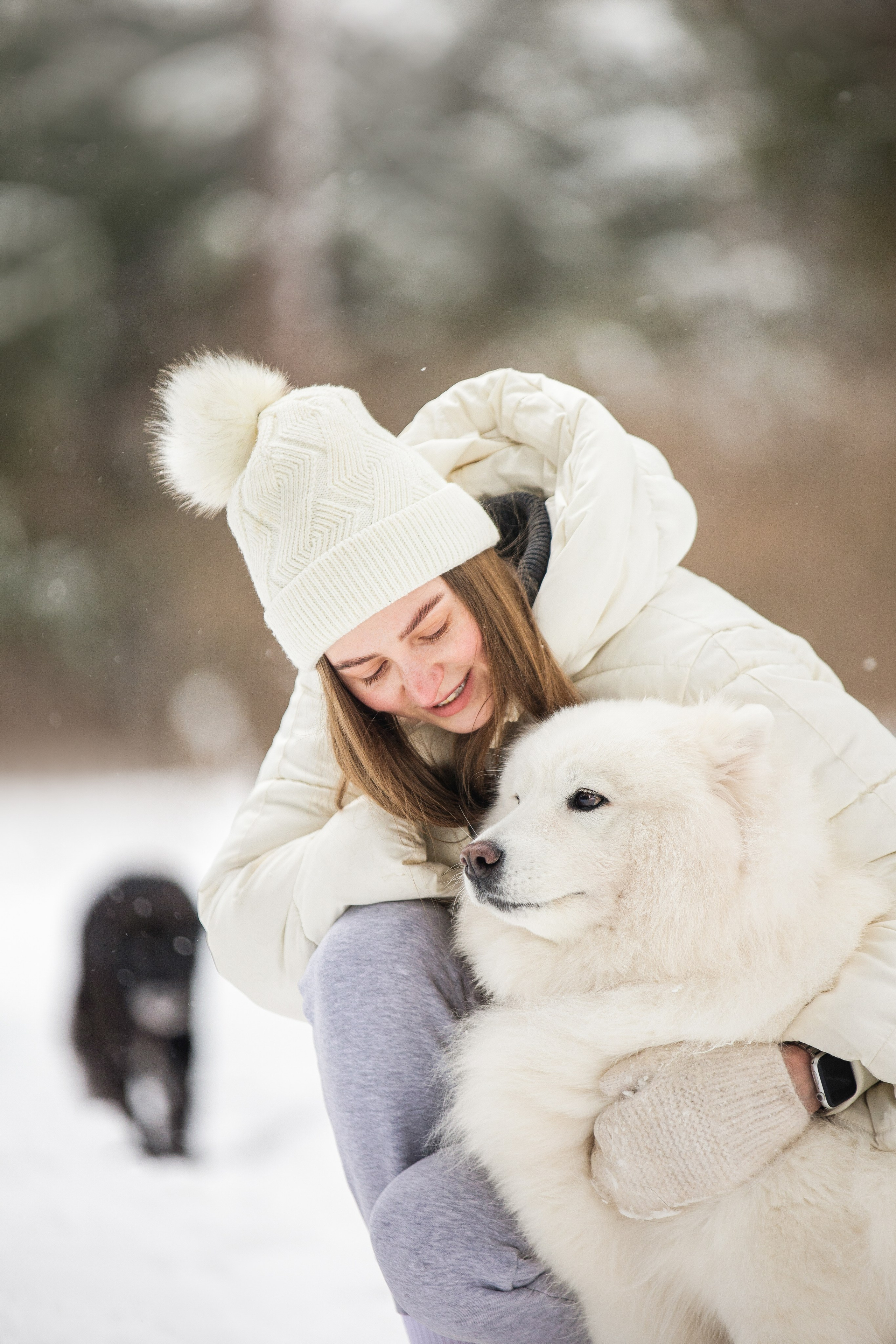 Валя, Варя и Лада. Фотограф анималист в Москве Майорова Евгения