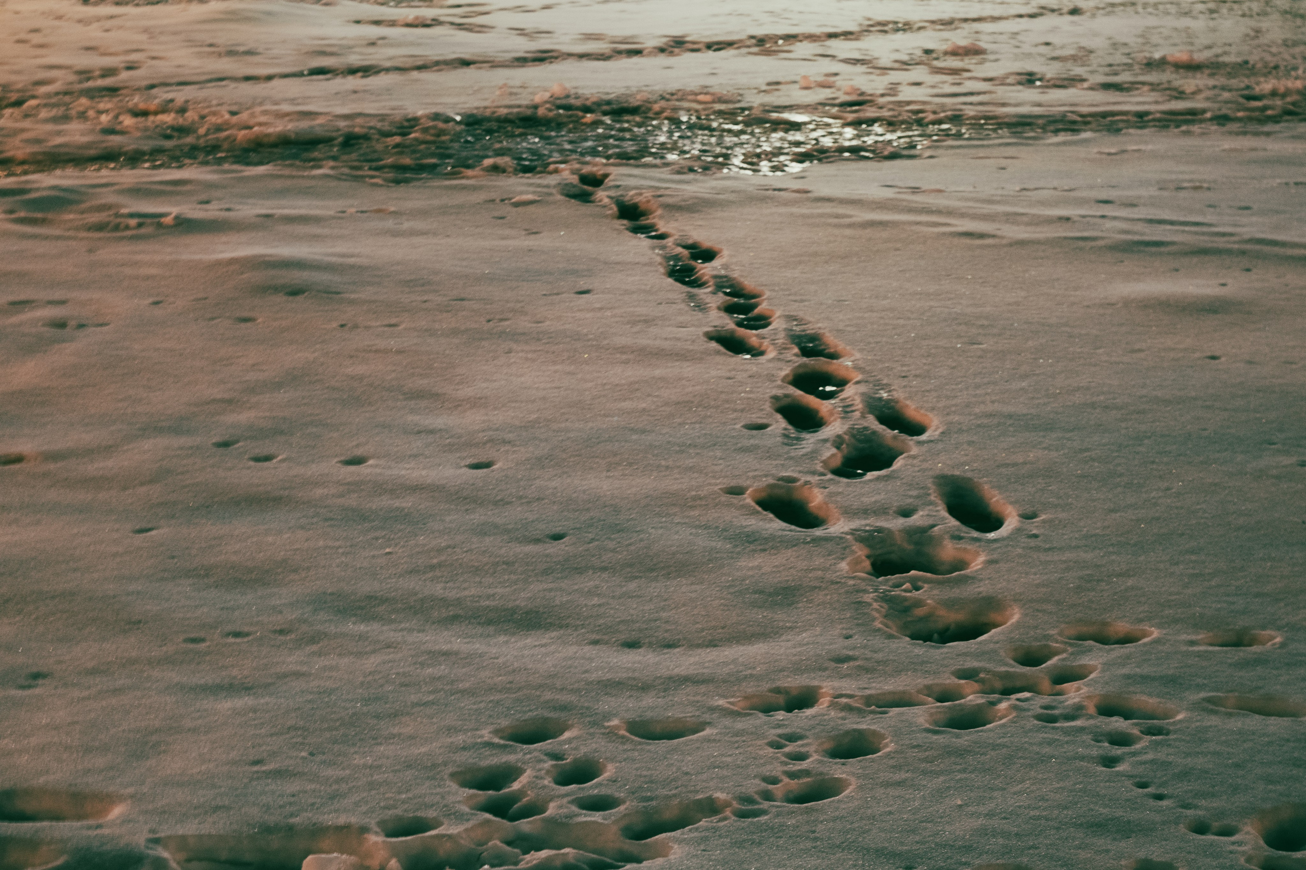 Март в Москве. Портретный и архитектурный фотограф в Москве и Санкт-Петербурге