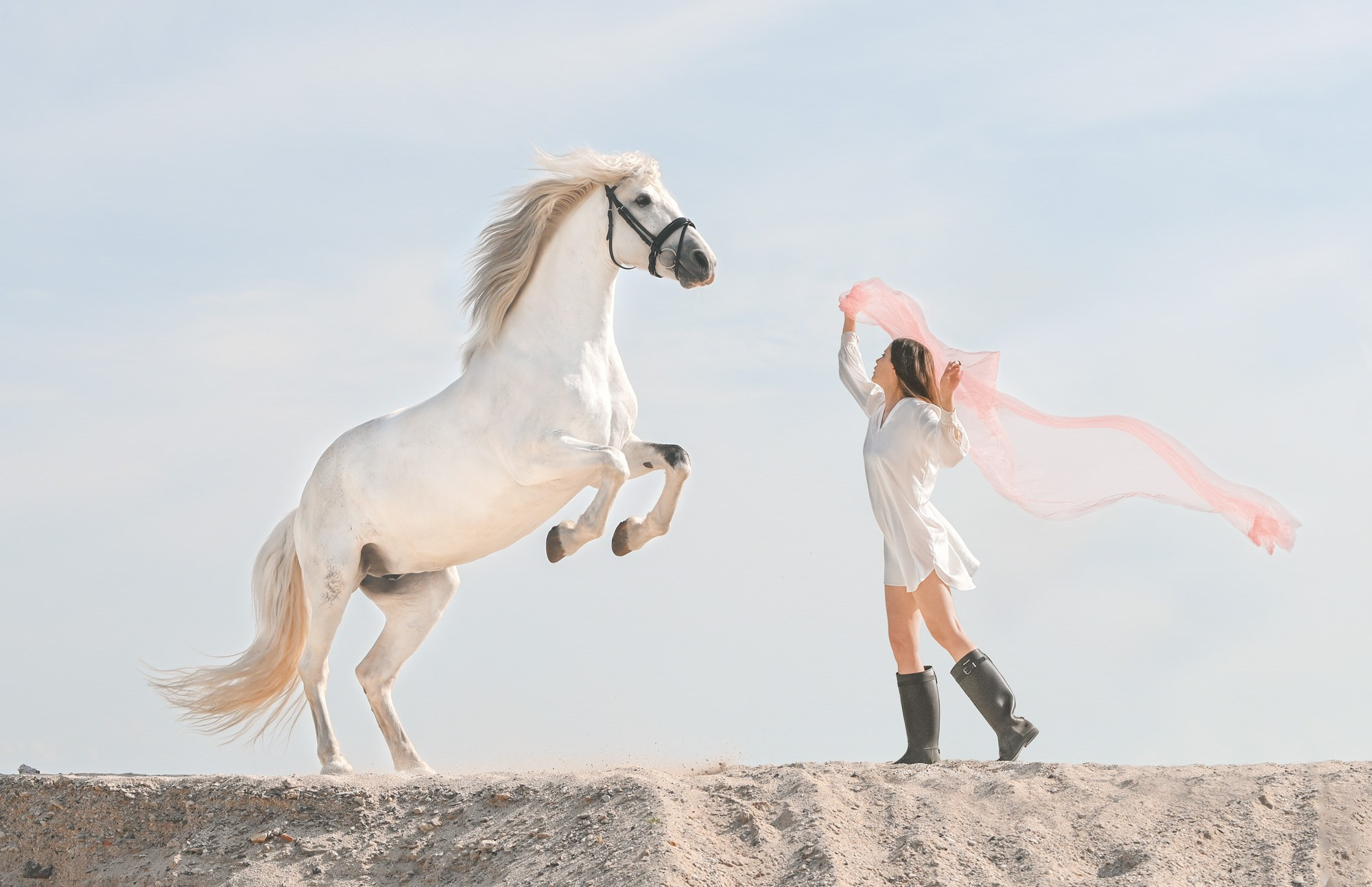 Стильная съёмка с лошадьми. Конный портретный фотограф Наталья Шелест