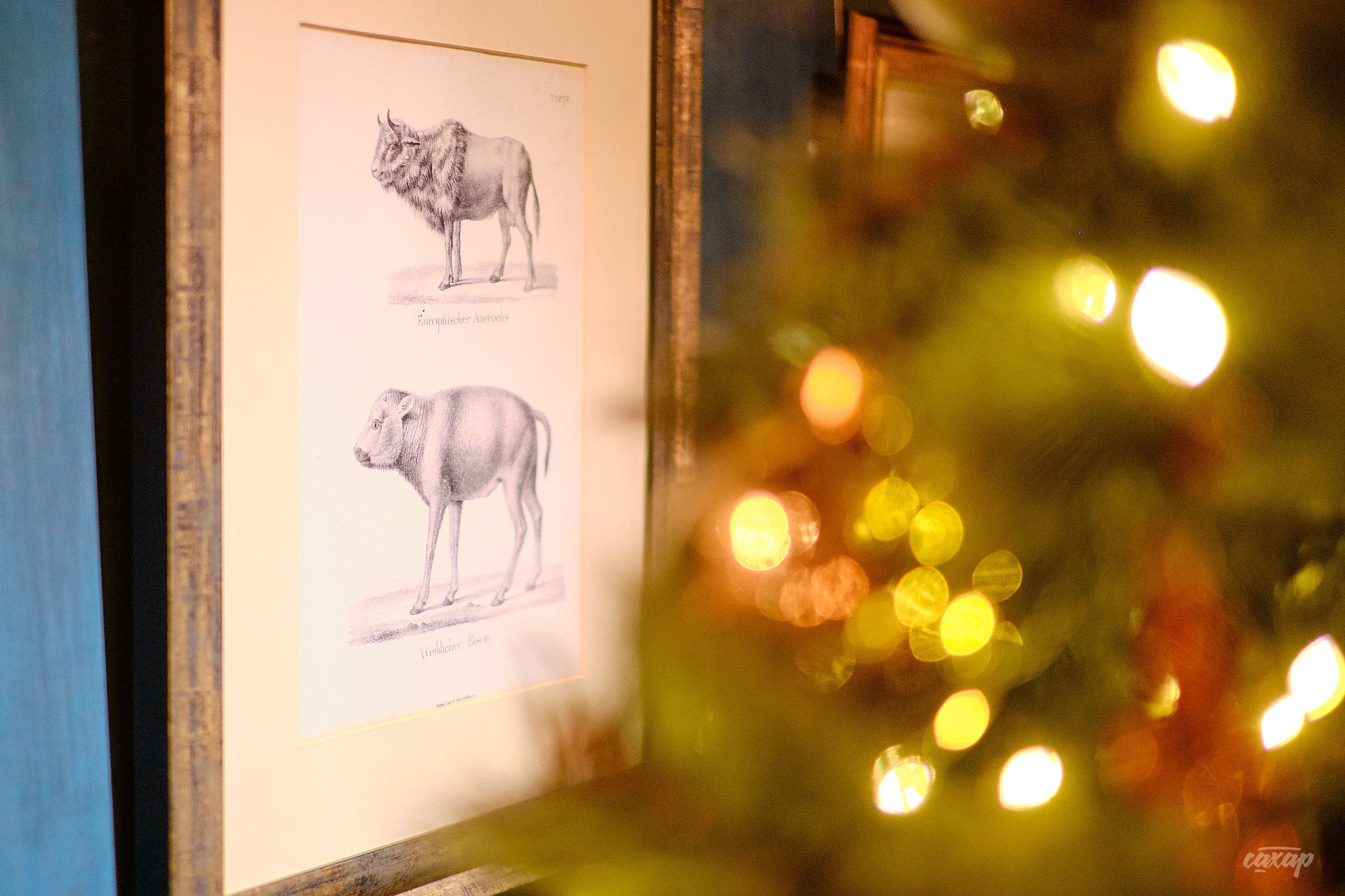 Новогодний Банкет в Стейк Хаус. Профессиональный фотограф в Екатеринбурге Юра Сахар