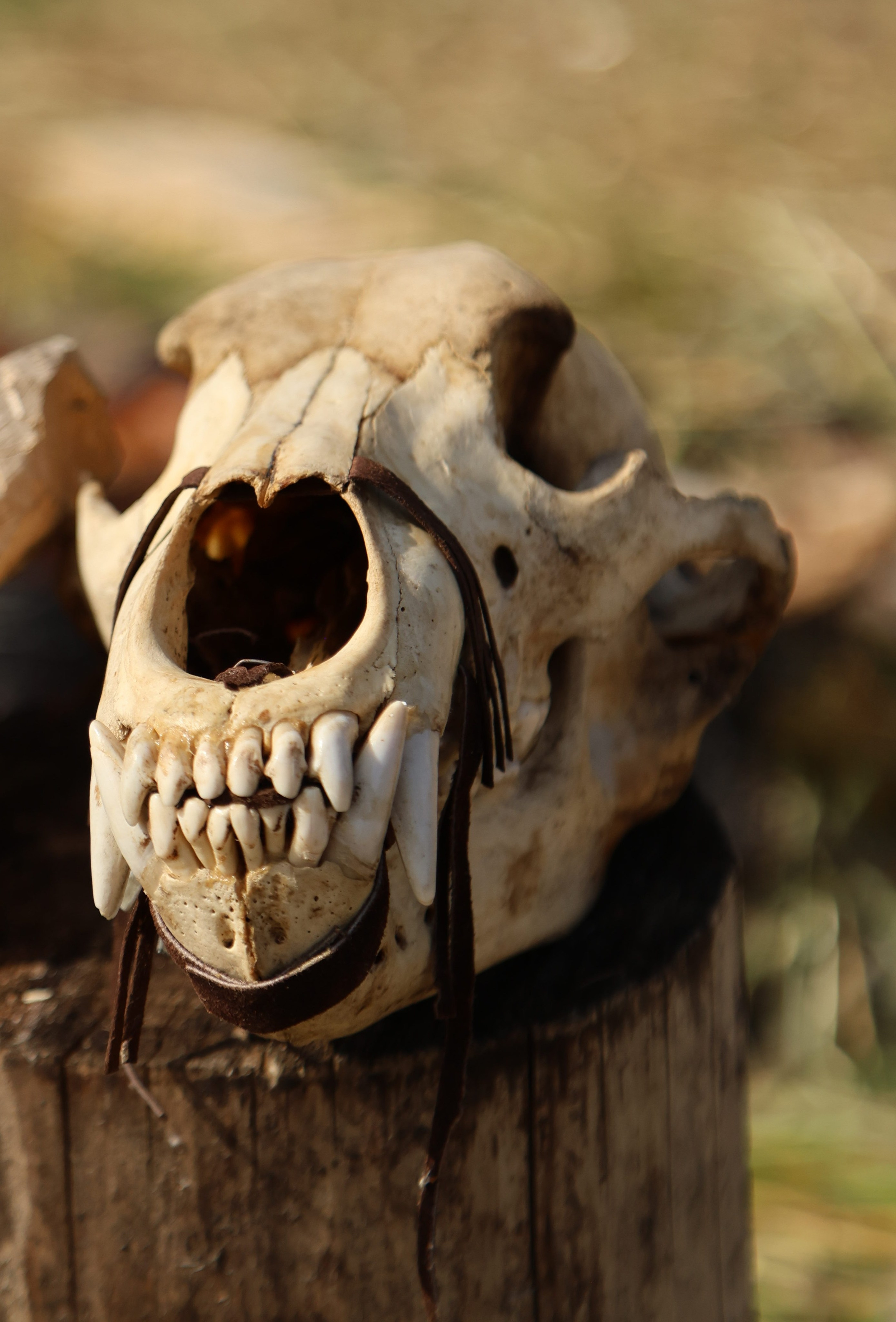 Камчатка. Макс По — фото и видео съемки любого формата