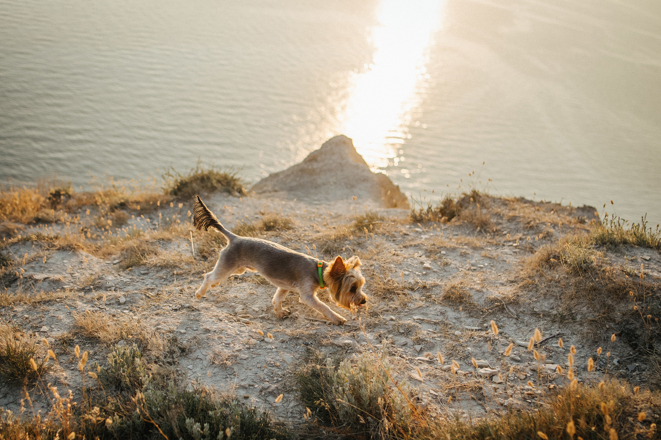 Снимаю с душой! Фотограф Ломакина Юлия. Анапа. 89618282827. Семейный, детский, свадебный, фотограф в городе Анапа