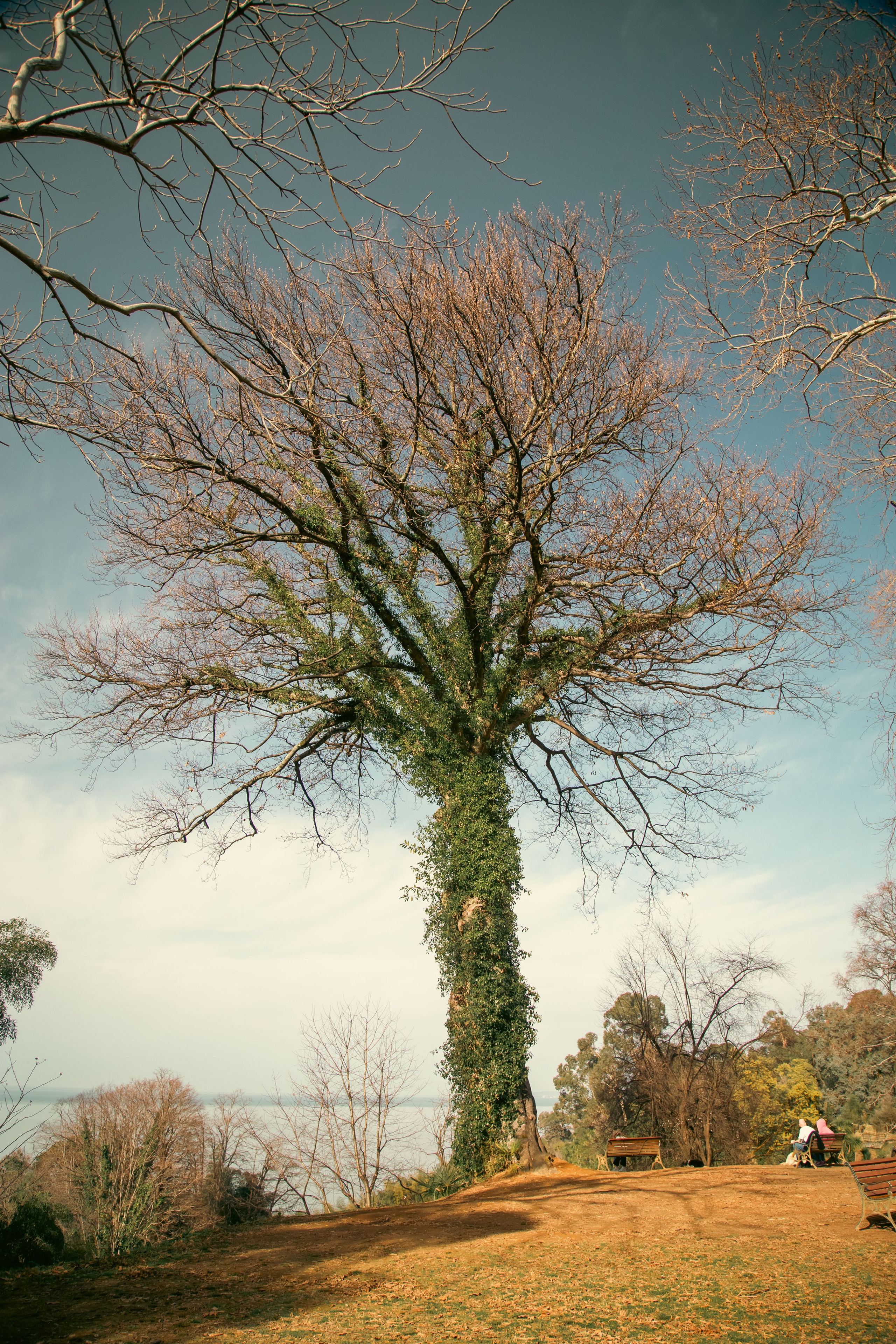 Batumi. Dmitriy [KCCC] is a pretty cool photographer