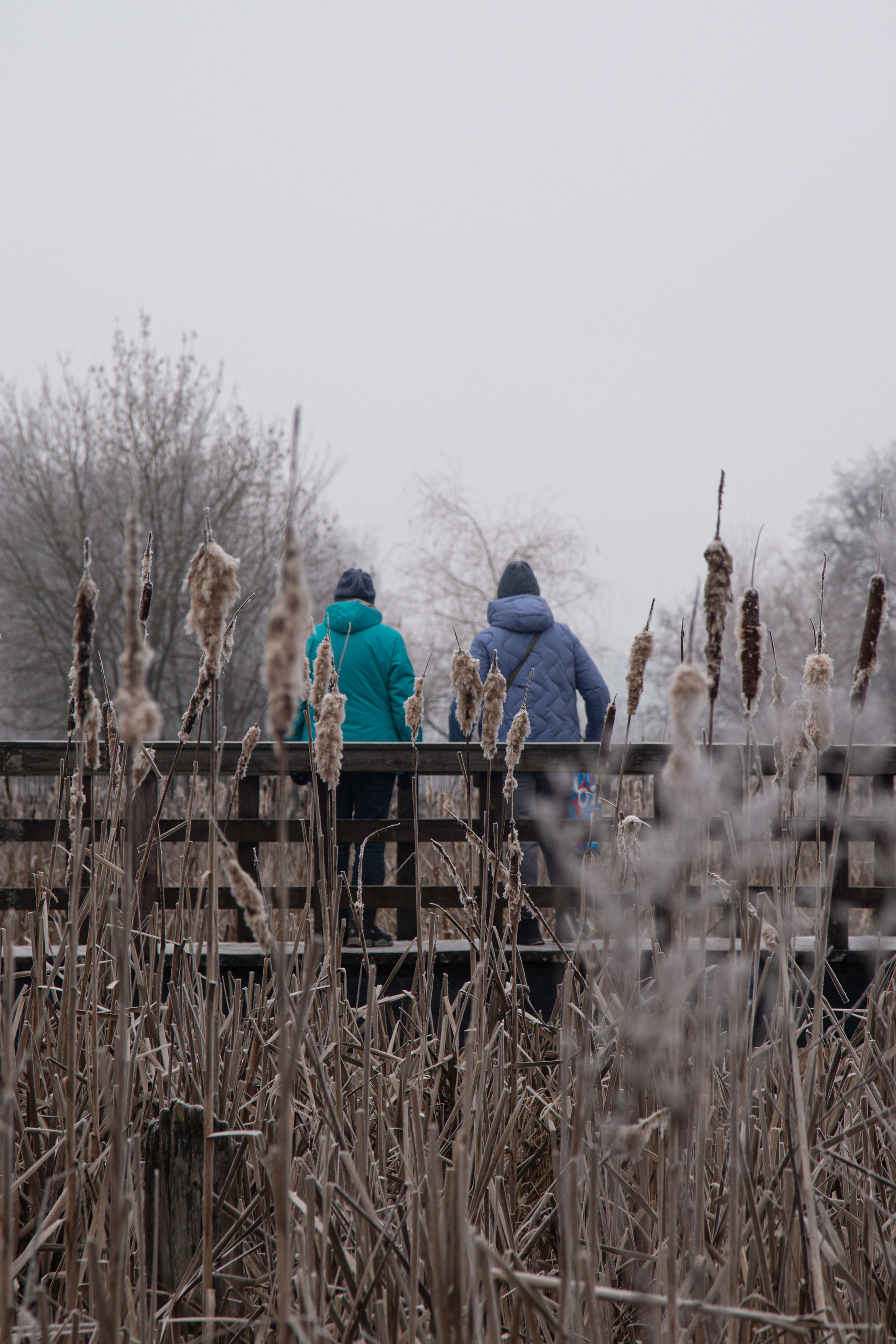 Воздух февраля. Dmitriy [KCCC] is a pretty cool photographer