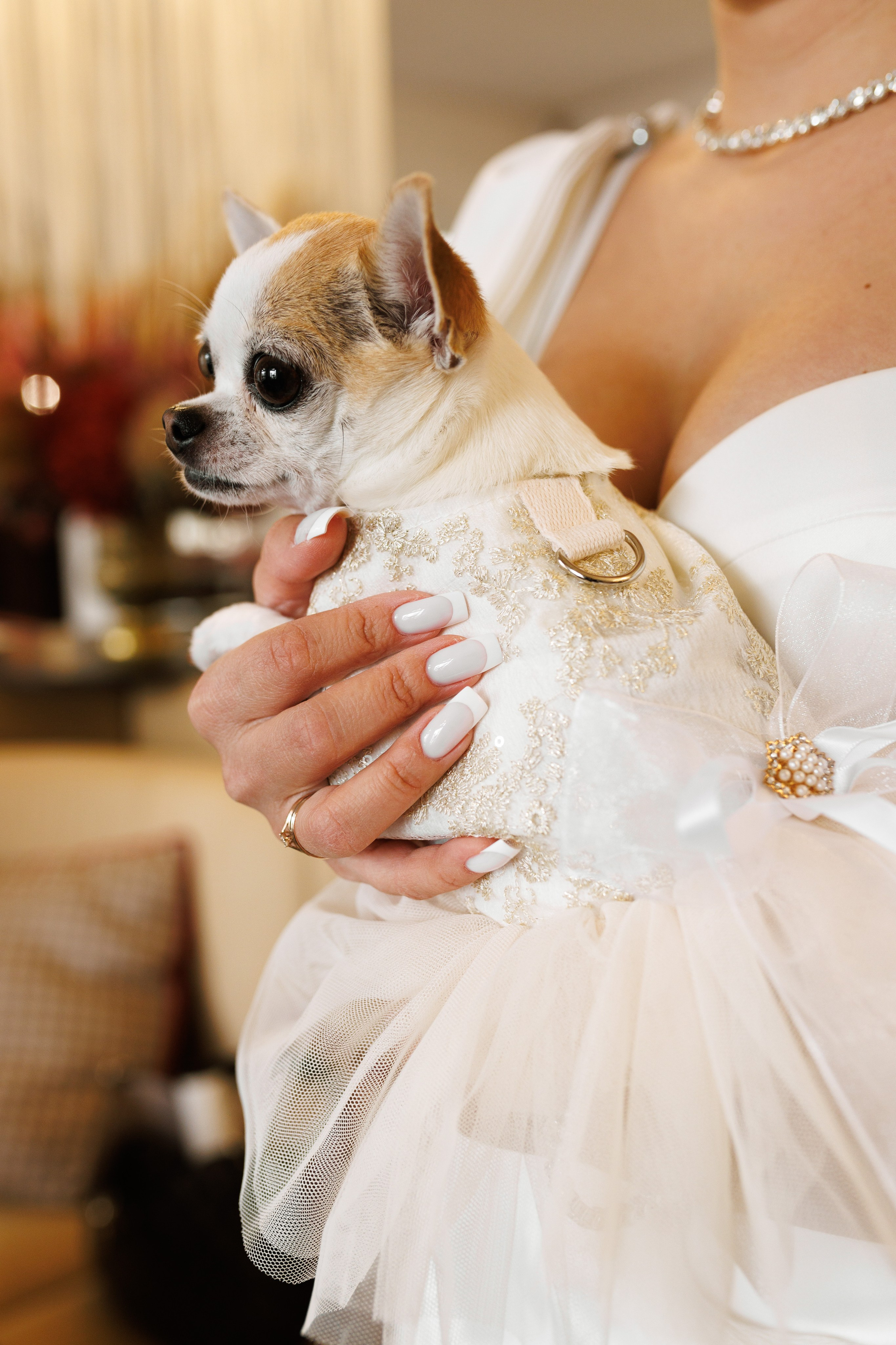 Виталий и Юлия. Фотограф в Кирове Настя Шабардина