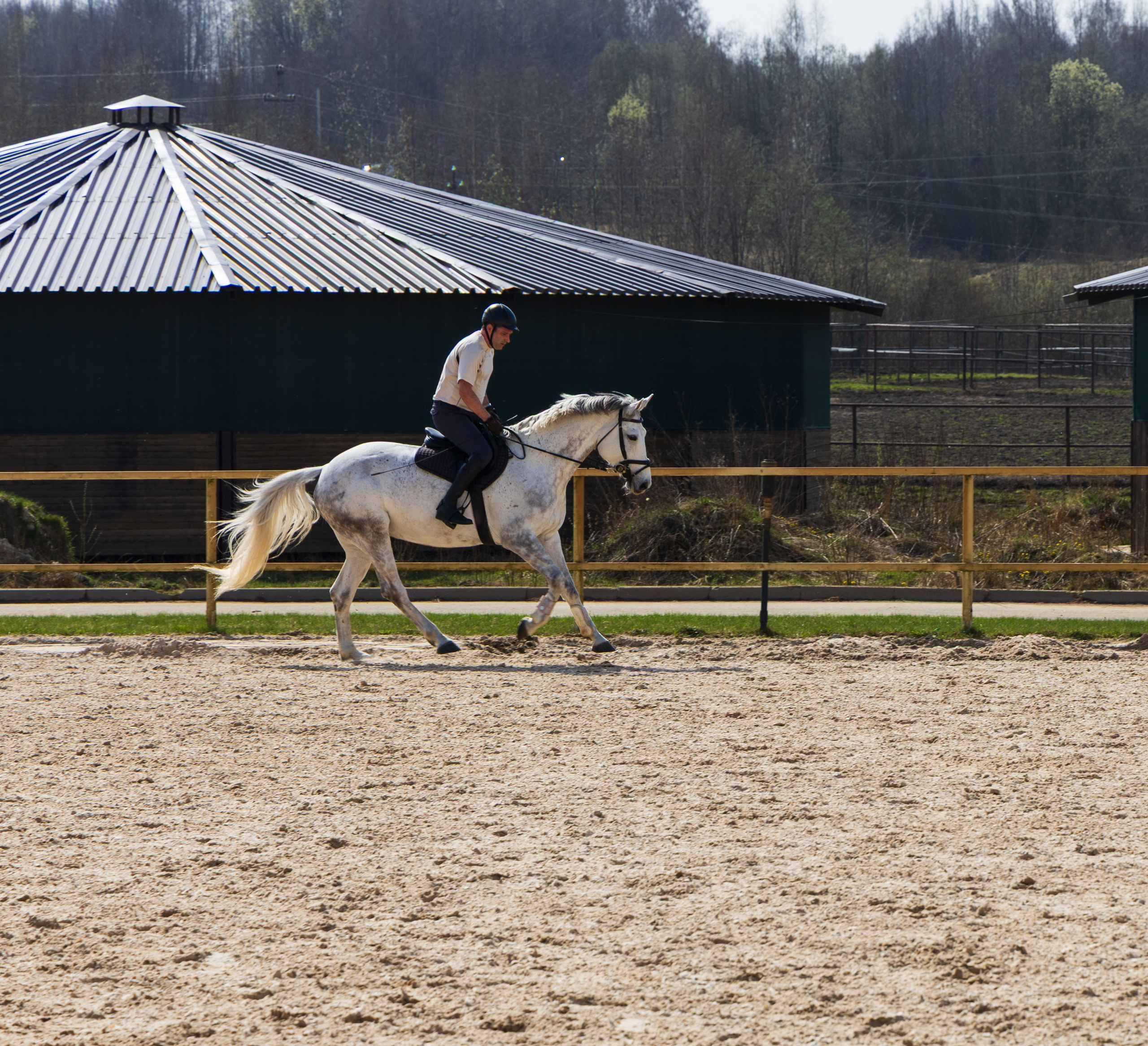 Репортаж.Конная тренировка. Портретный и семейный фотограф Санкт-Петербург