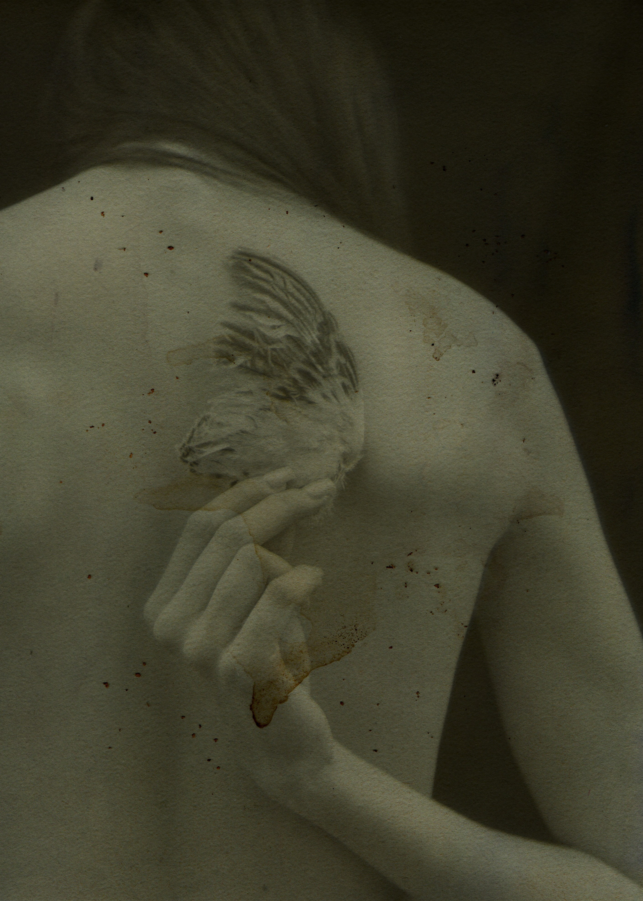 Литургия тлена. Фотограф в Омске Екатерина Павлова