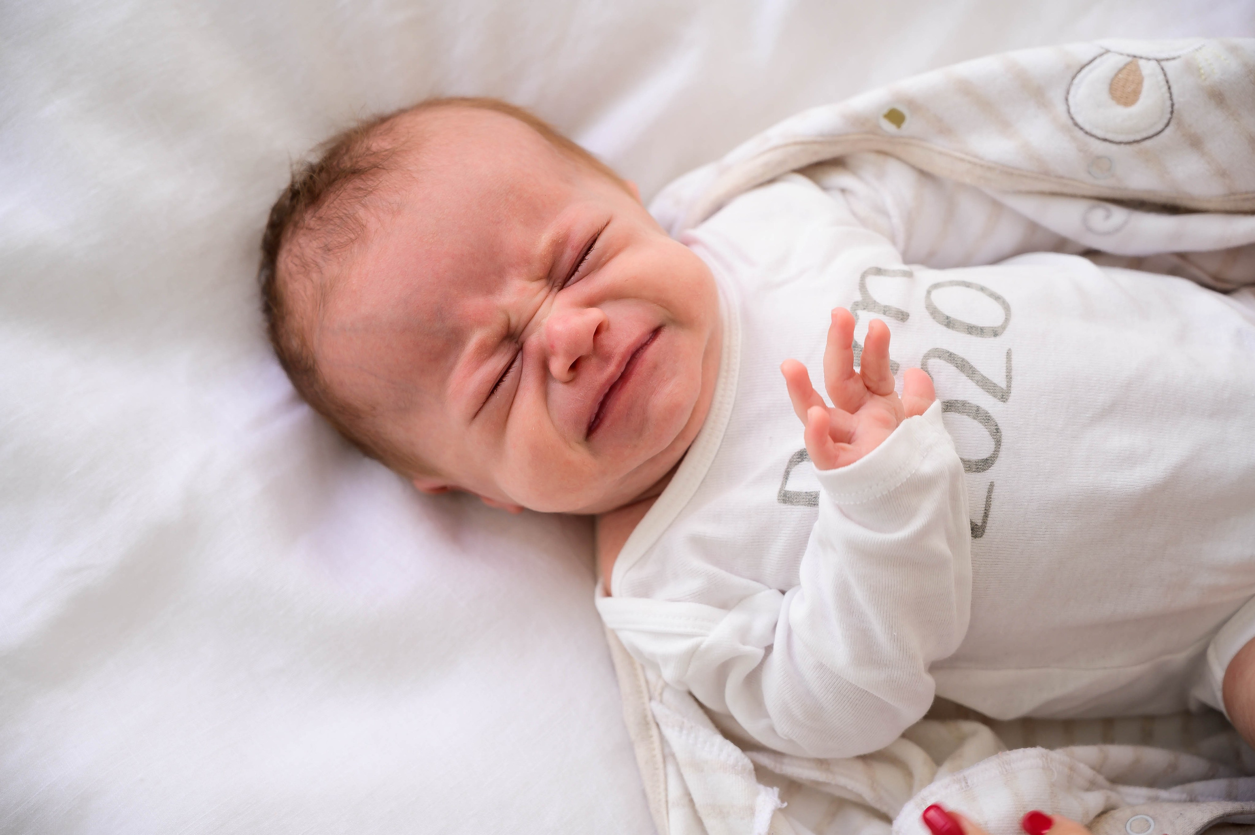 Лера. Фотограф беременности и семьи, домашние съемки