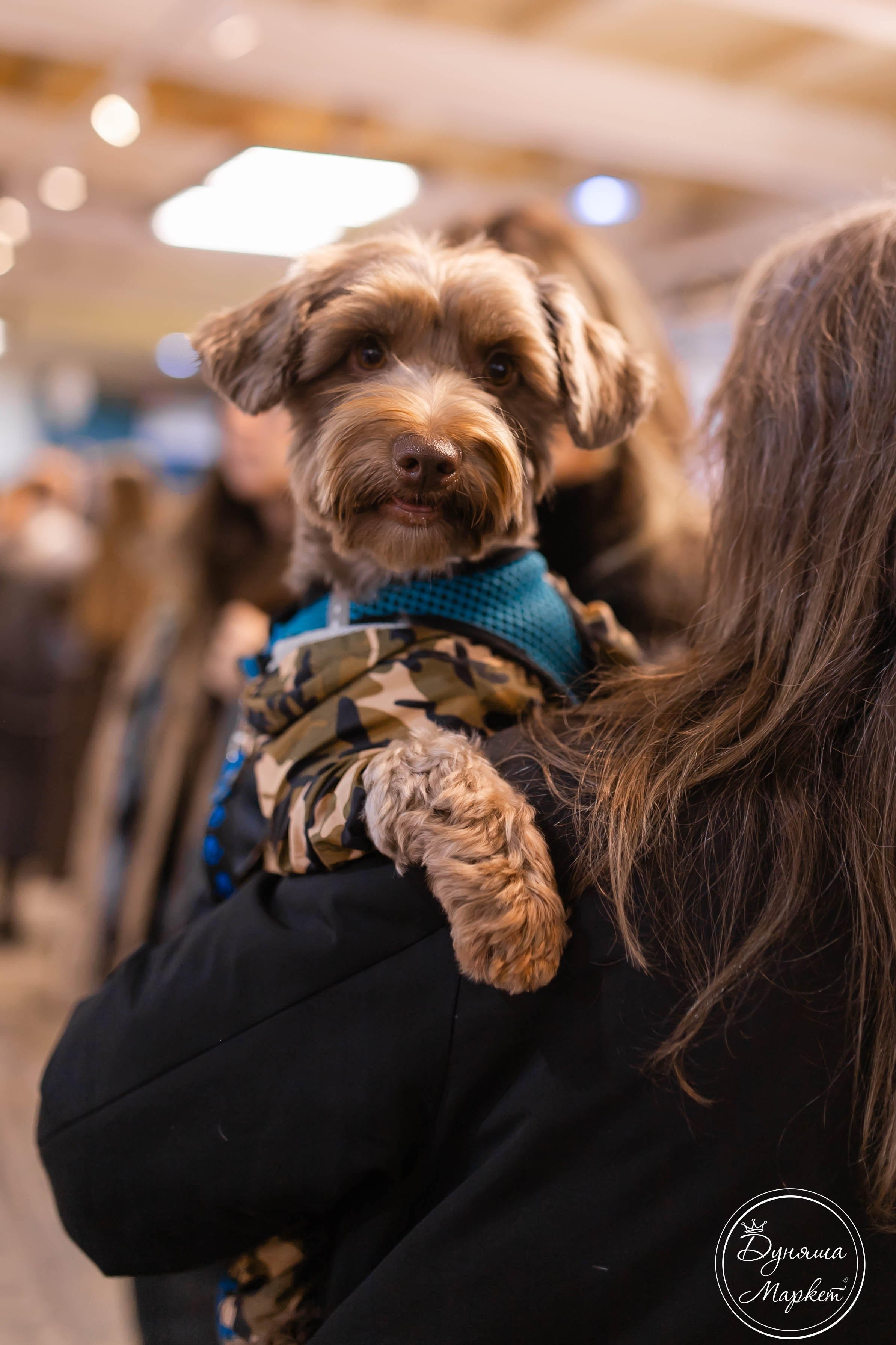 Дуняша. Главная