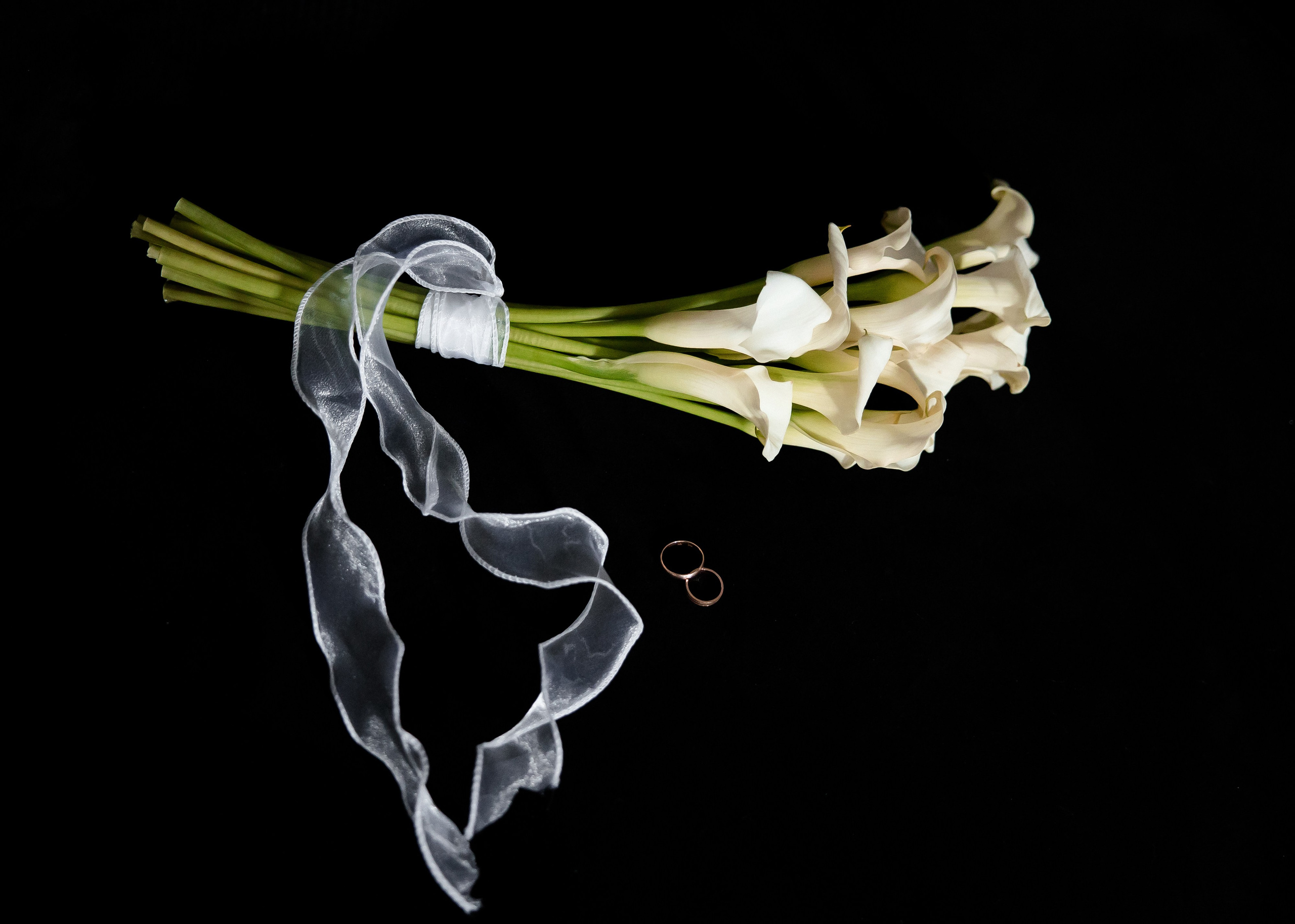 Яна + Максим. Свадебный и семейный фотограф в Саратове Маша Паника