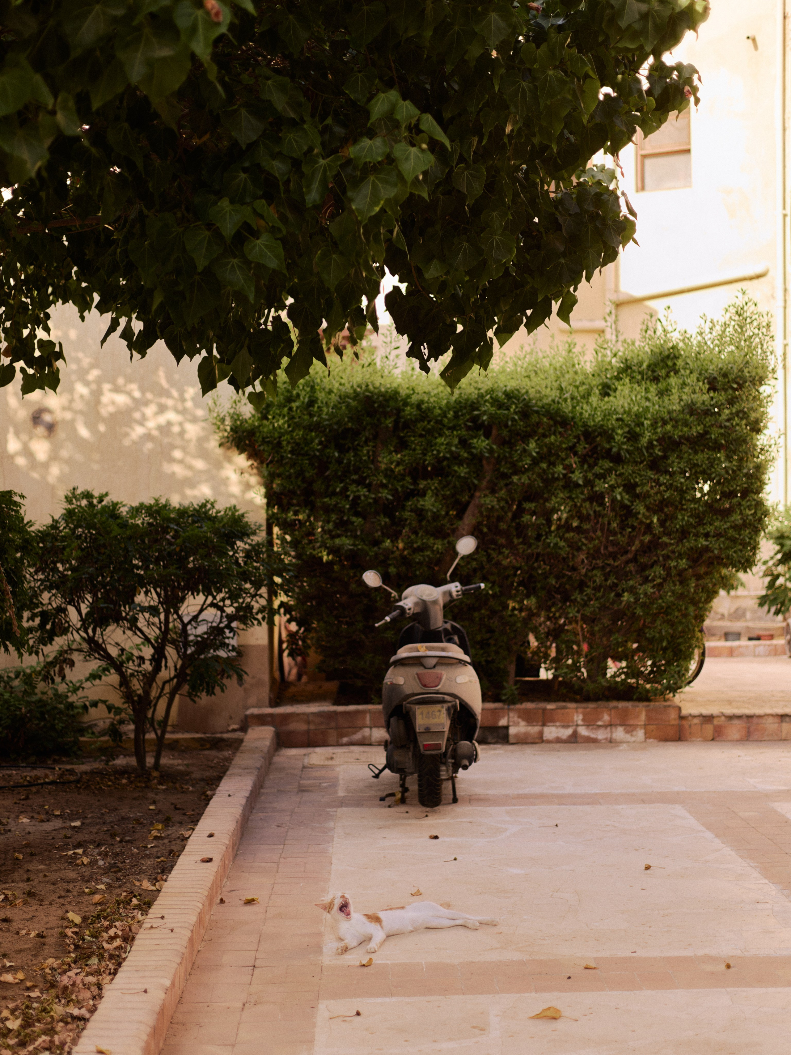 Другое 3. Jorgis Talè — photographer, kind person, teacher of arts and other mag