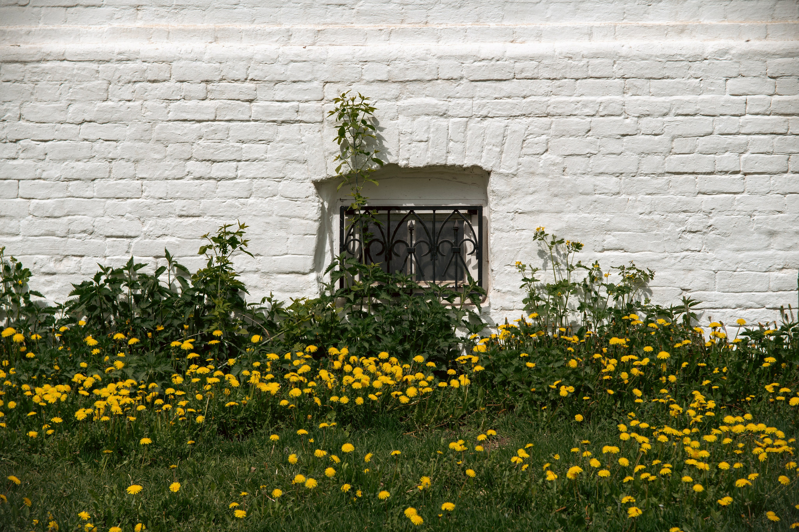 Муром. Май 2022. Фотограф Роман Адлер