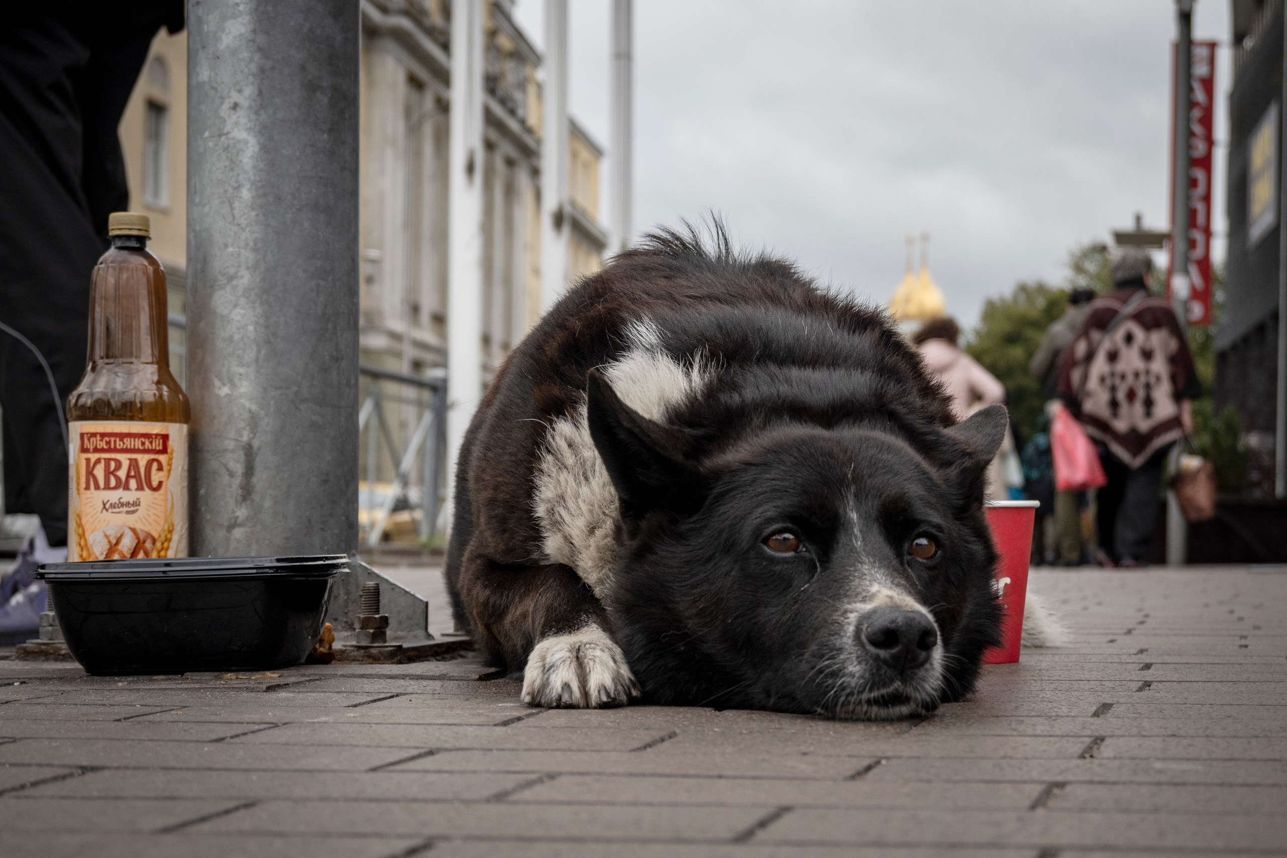 Калининград. Октябрь 2023. Фотограф Роман Адлер