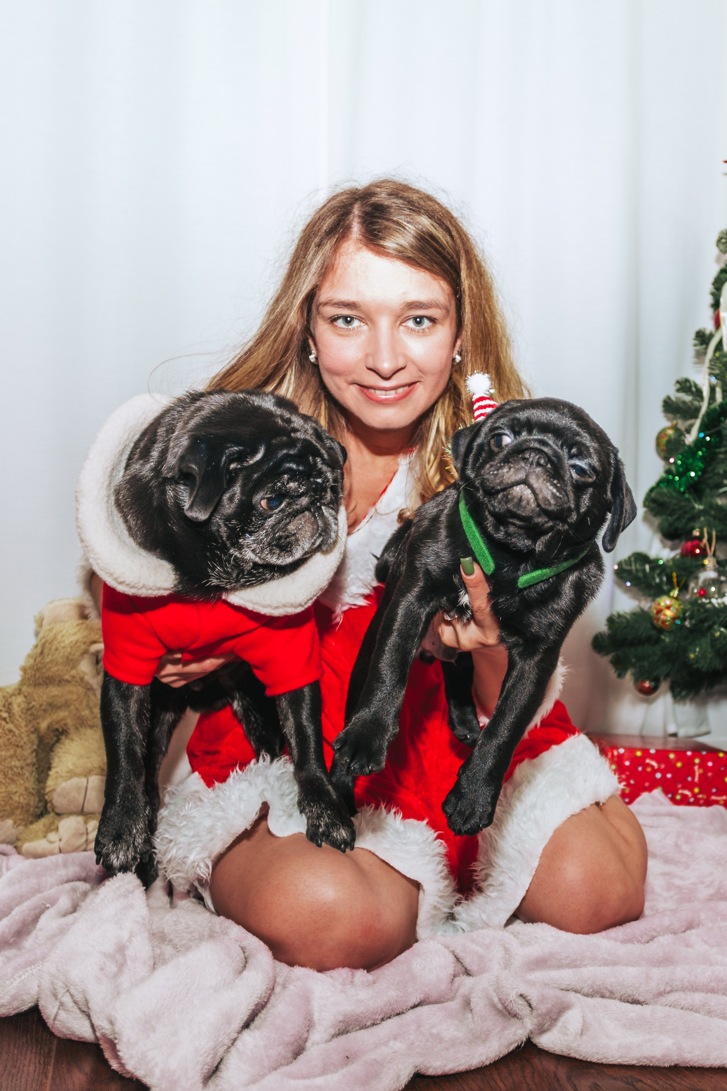 Домашняя фотосессия Оли и двух ее мопсов. Фотограф-анималист Татьяна Степанова
