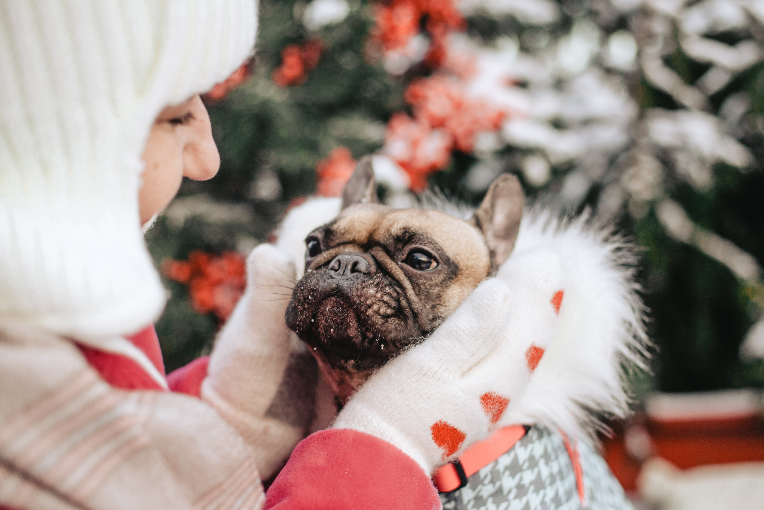 Зингер дача. Фотограф-анималист Татьяна Степанова