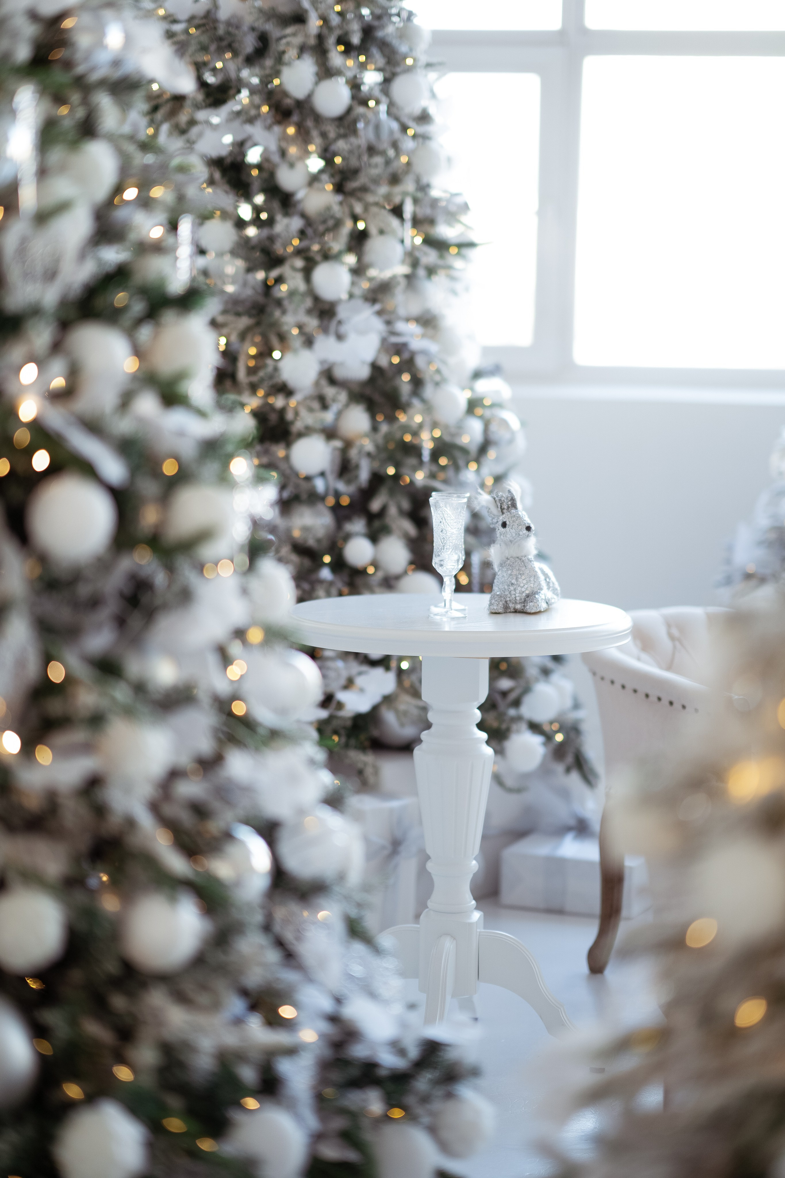 Ренессанс. Фотограф г. Хабаровск. Семейные и индивидуальные съёмки