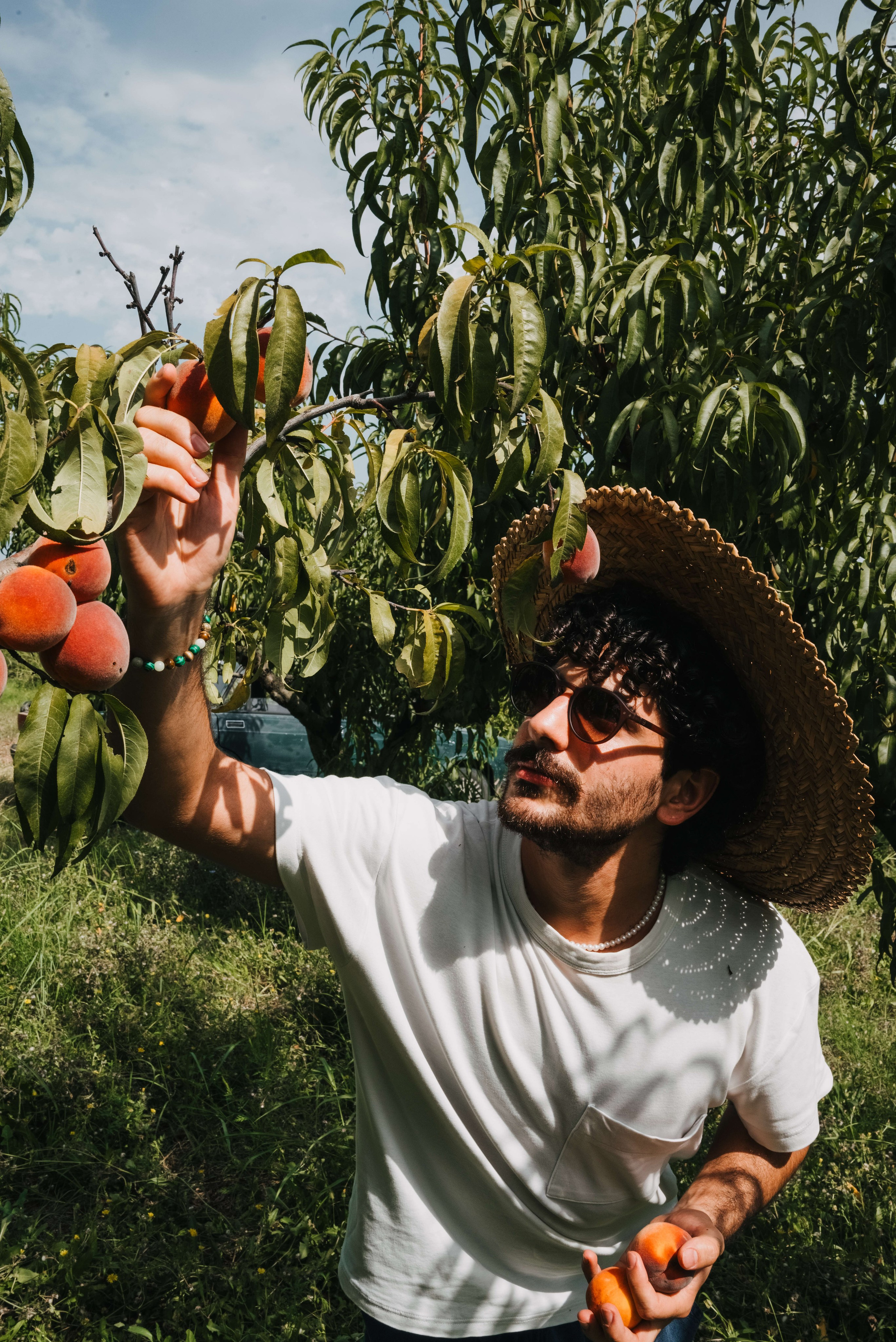 Съемка для винодельни Bakurtsokheli. Портретный и свадебный фотограф в Тбилиси • xeniqo