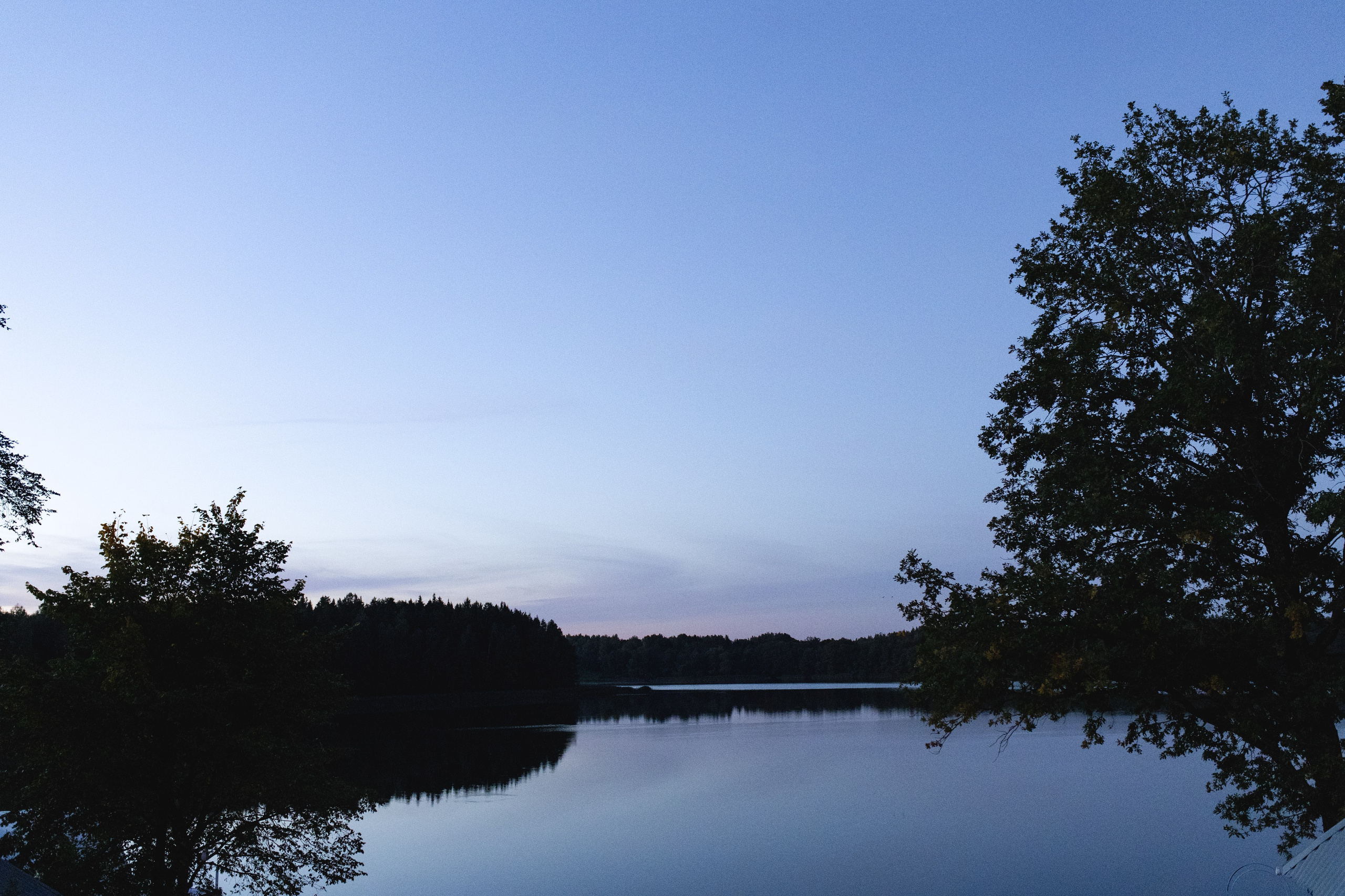 Андрей и Ксения. Свадебный фотограф Витебск Минск