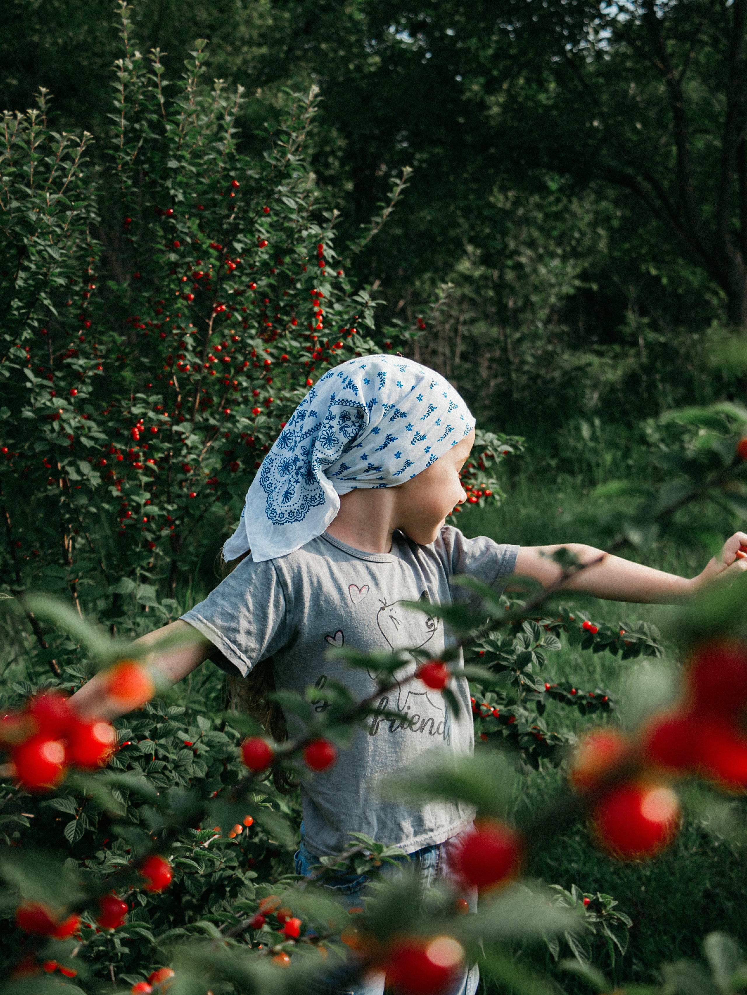 Девочка стоящая среди кустов ягод