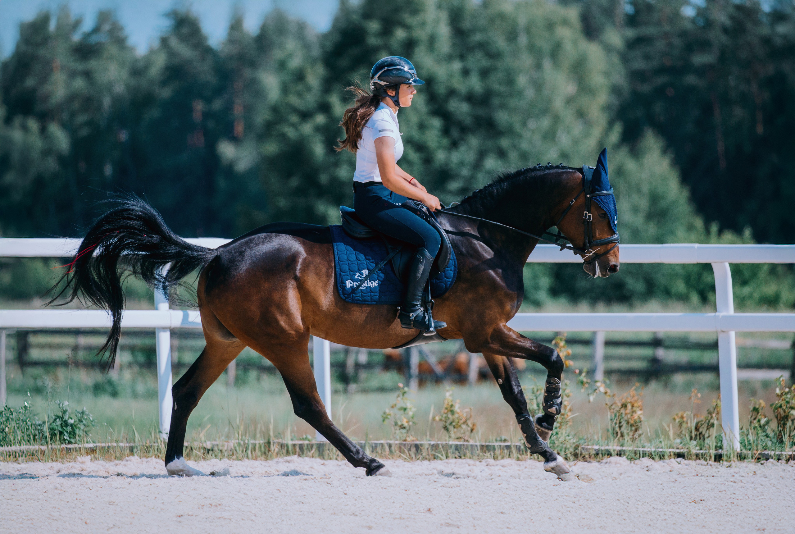 Тренировки. Фотограф-анималист Ксендзова Кристина