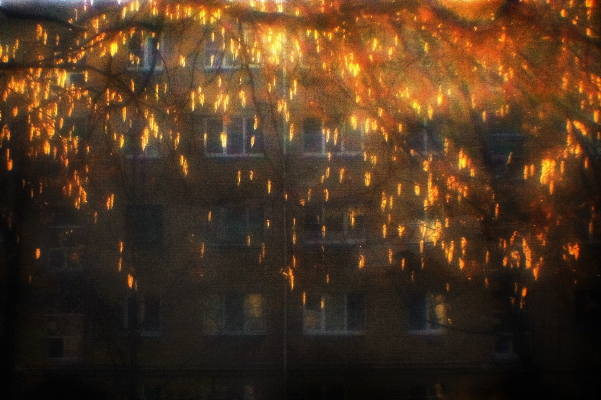 Пробуждение (2020). Мария Завьялова | фотограф и преподаватель фотографии