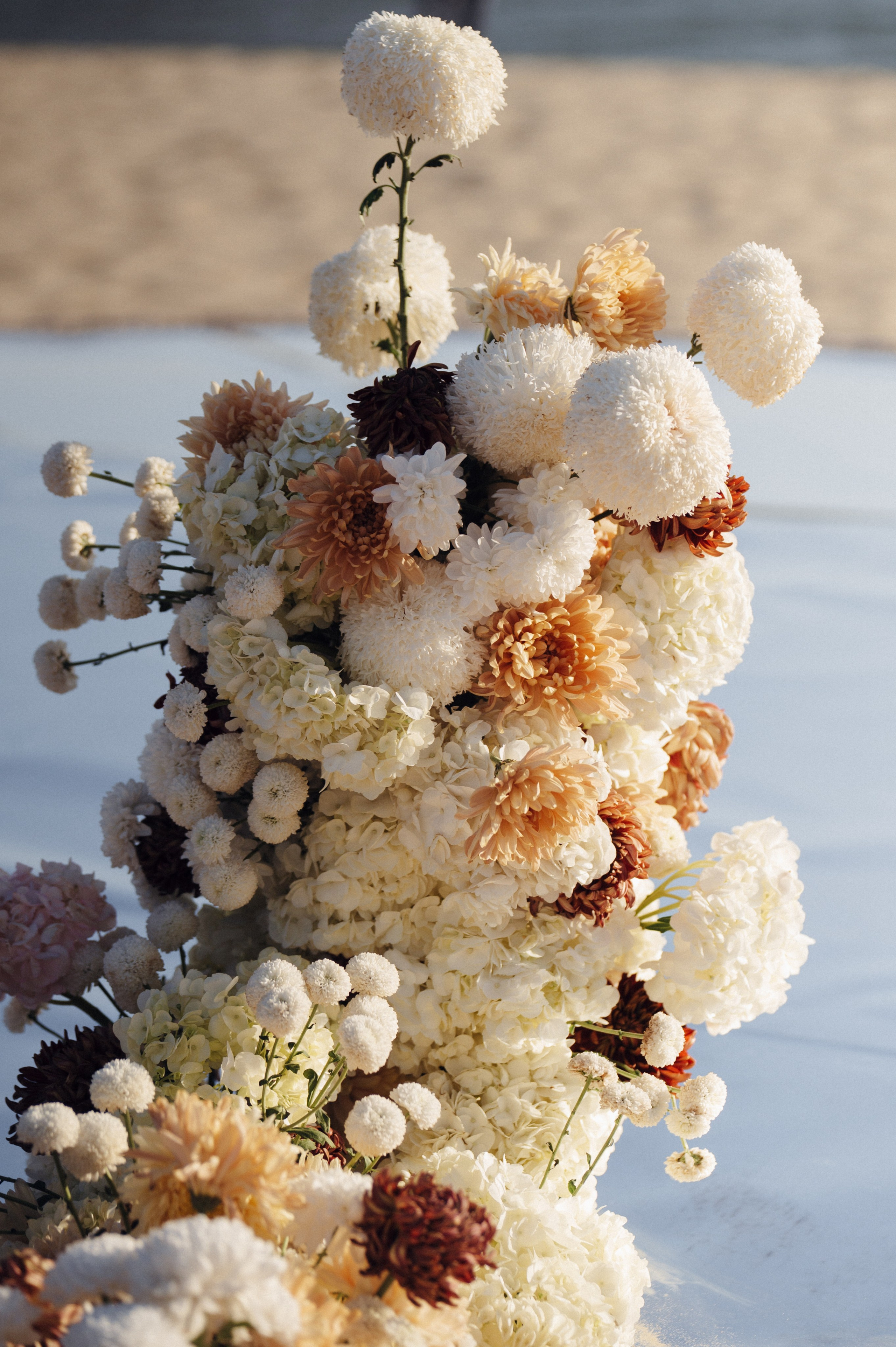 Денис и Света. Свадебный фотограф и видеограф