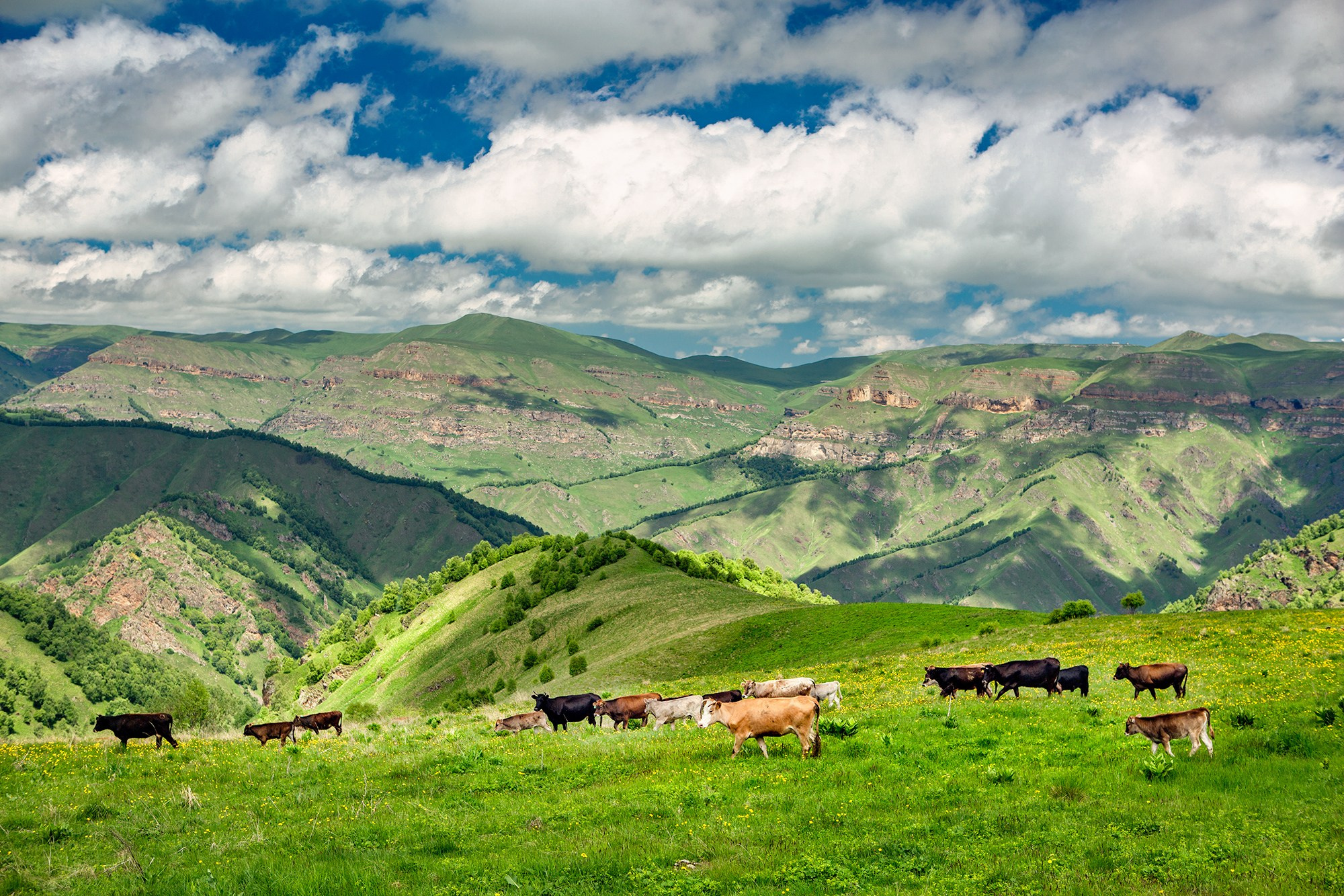 Северный Кавказ, Россия. Фотограф Владимир Остапенко